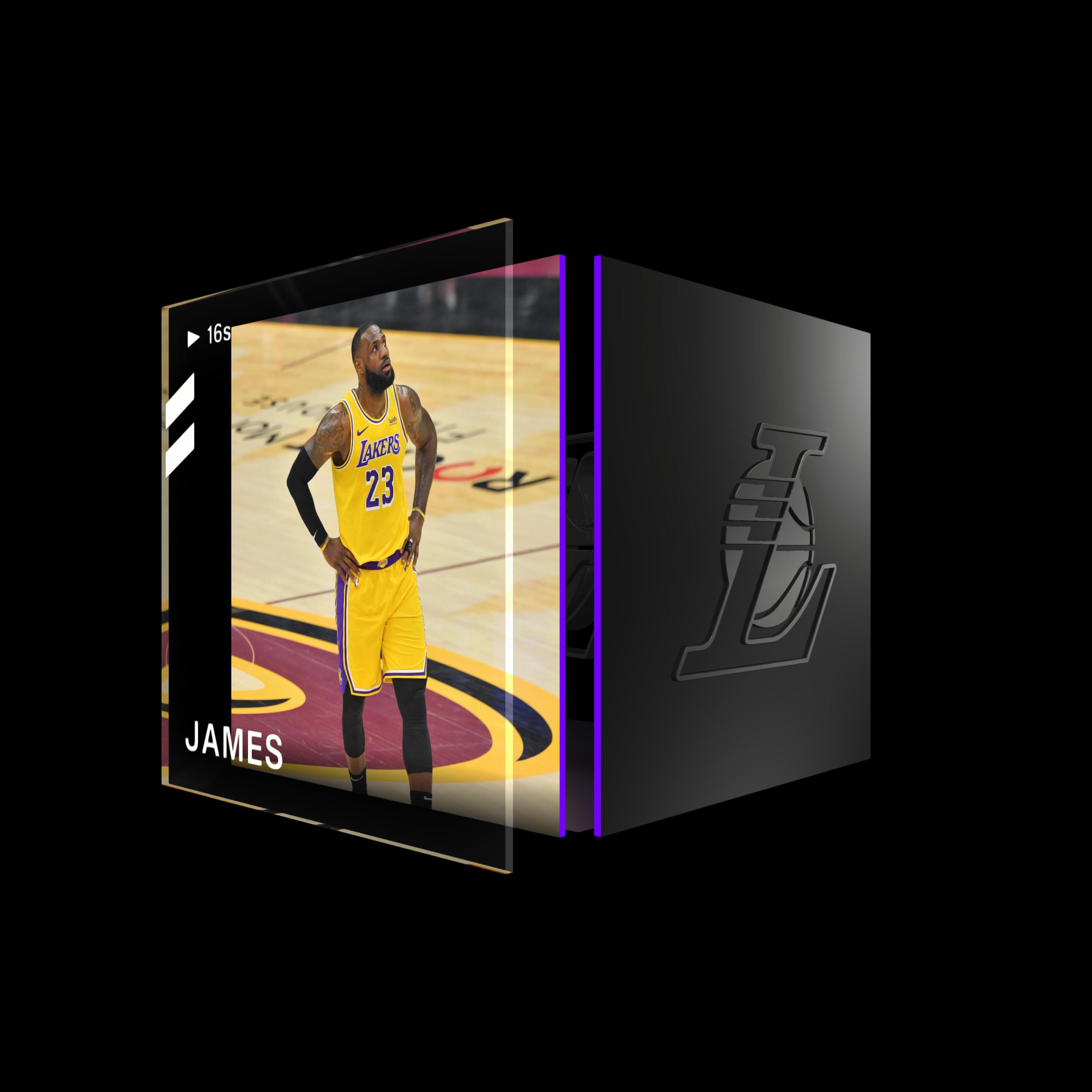 LeBron James asset