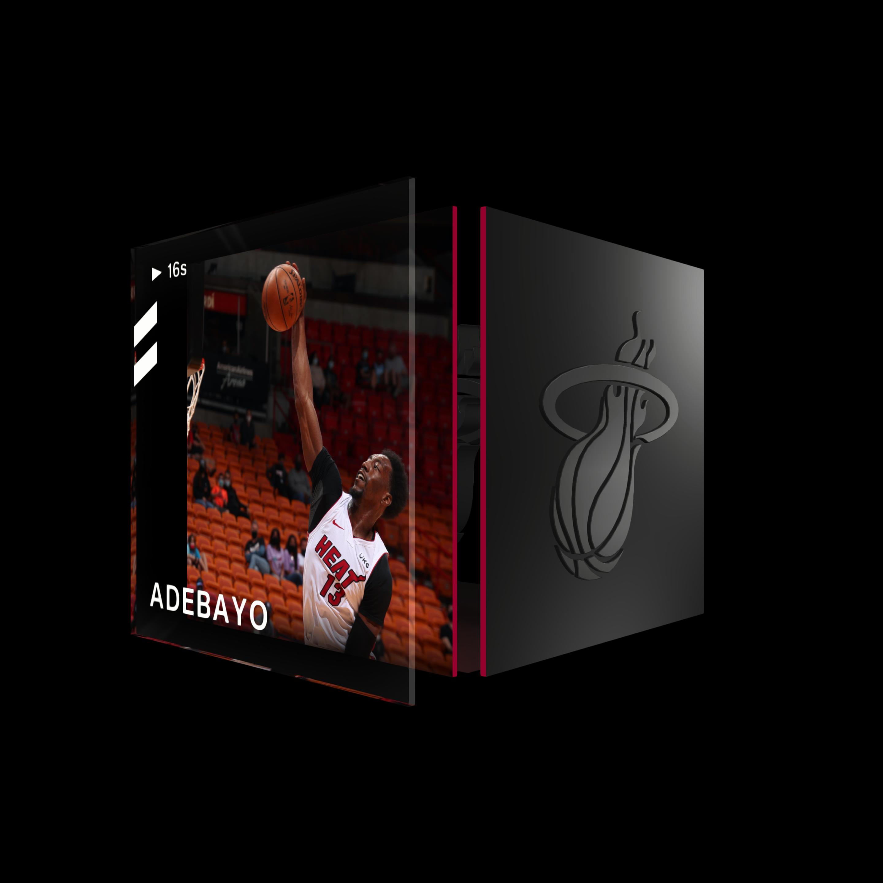 Bam Adebayo asset