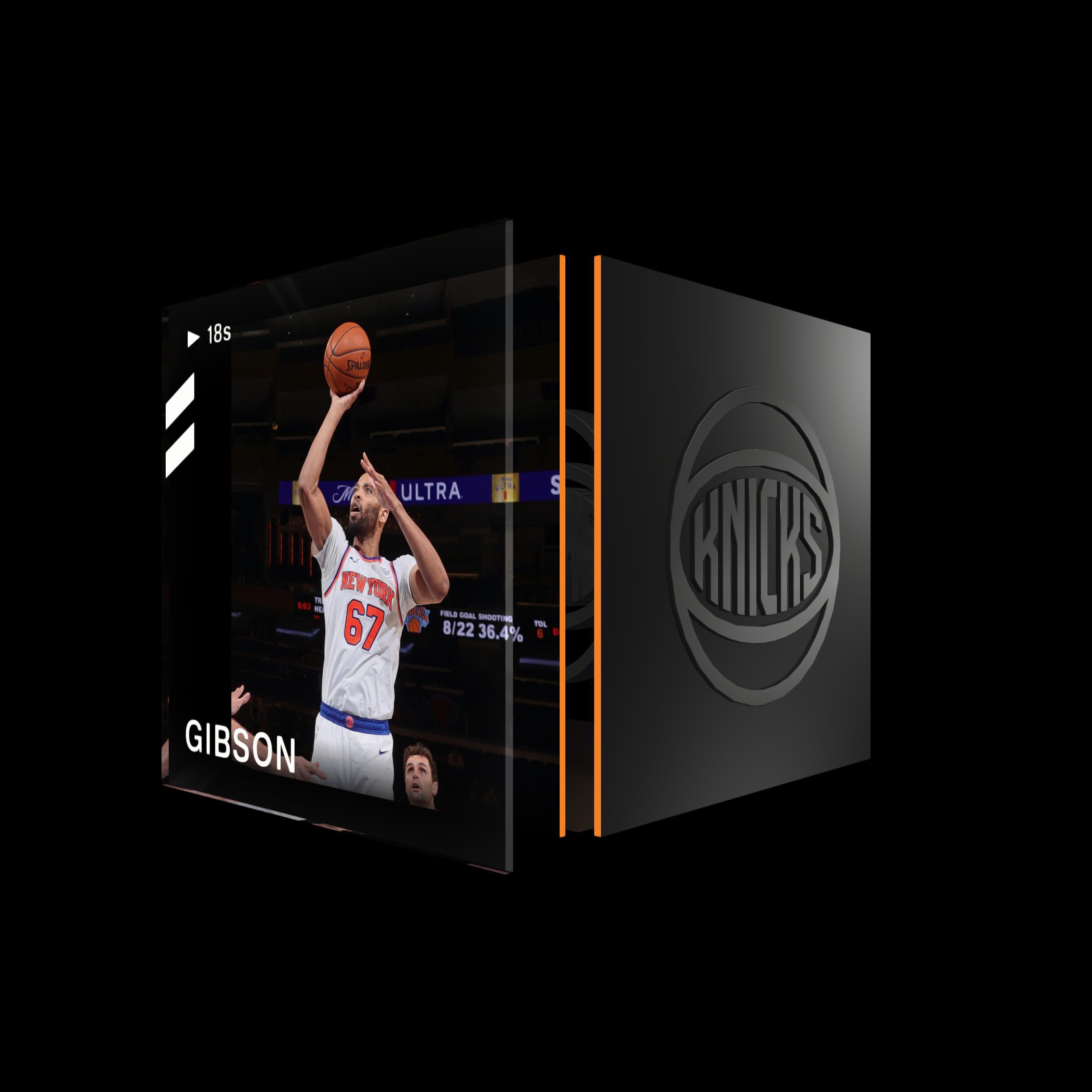 Taj Gibson asset