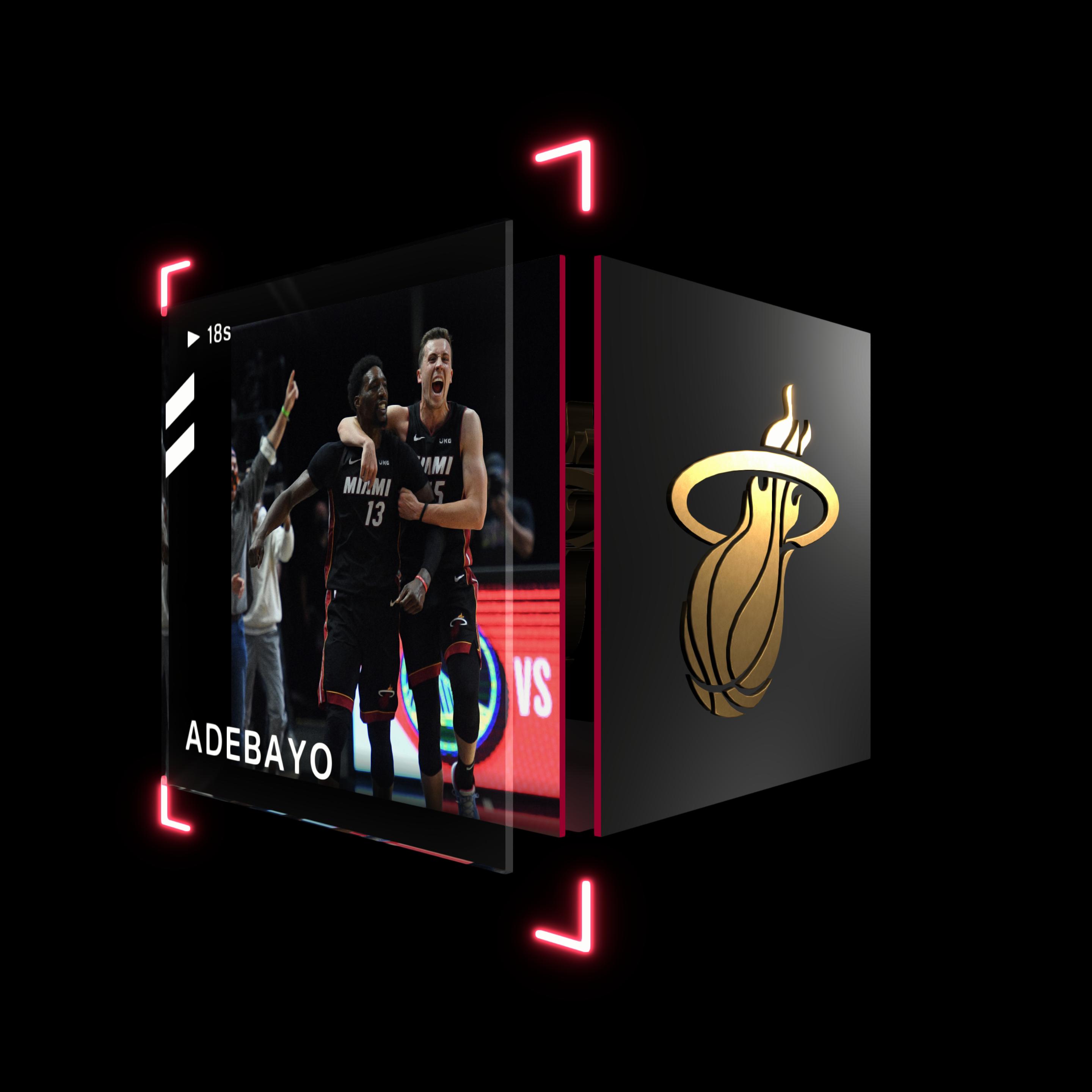 Bam Adebayo asset