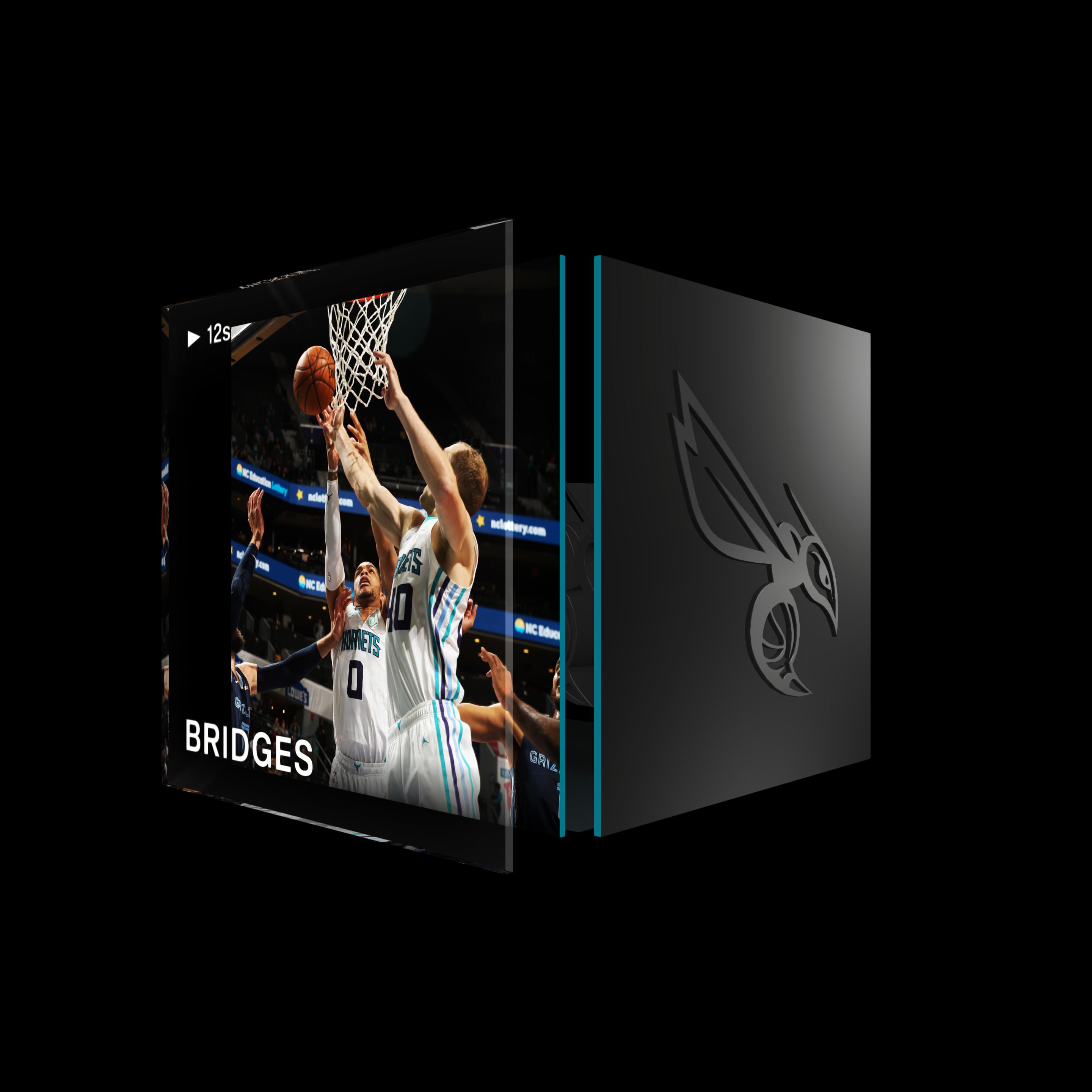 Miles Bridges asset