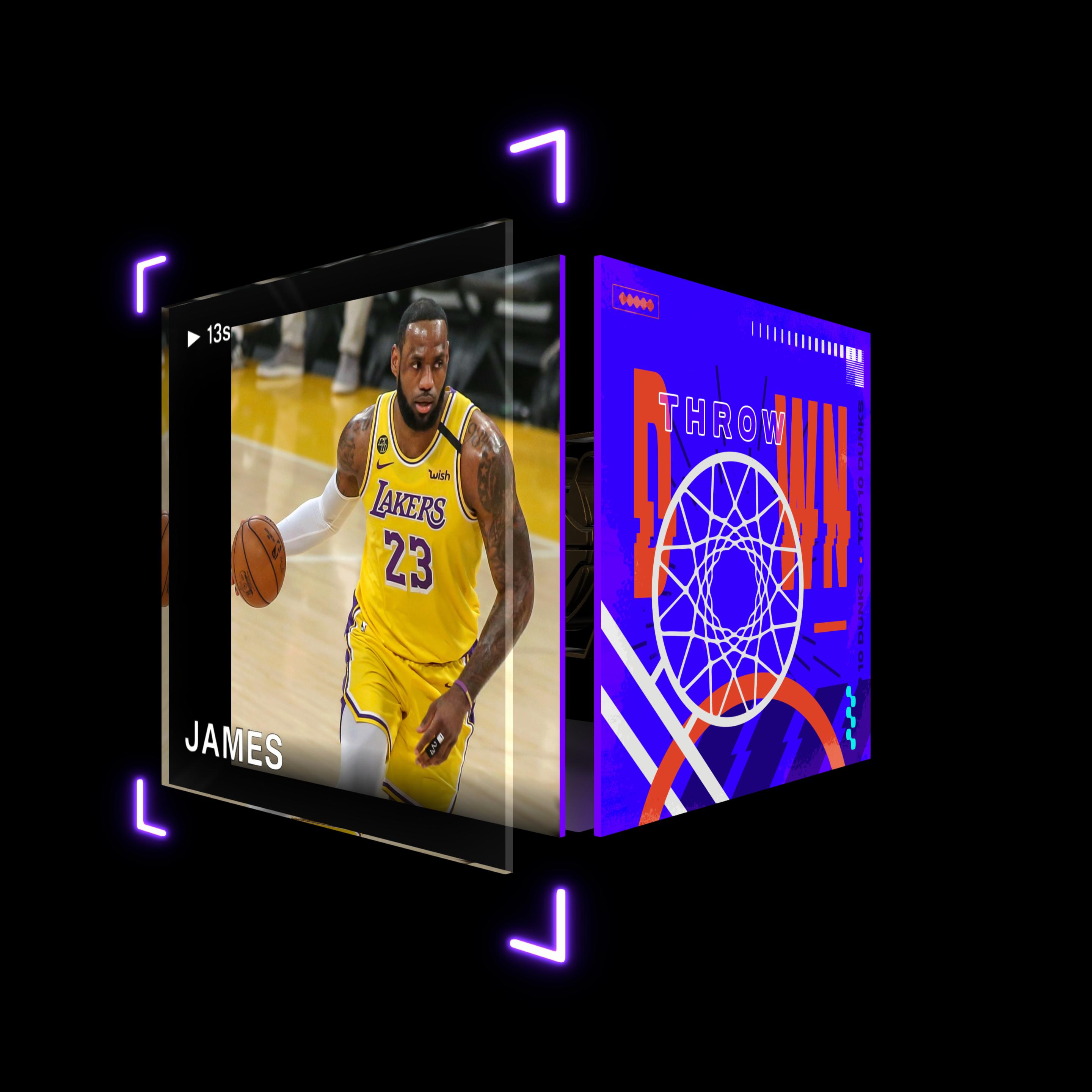 LeBron James asset