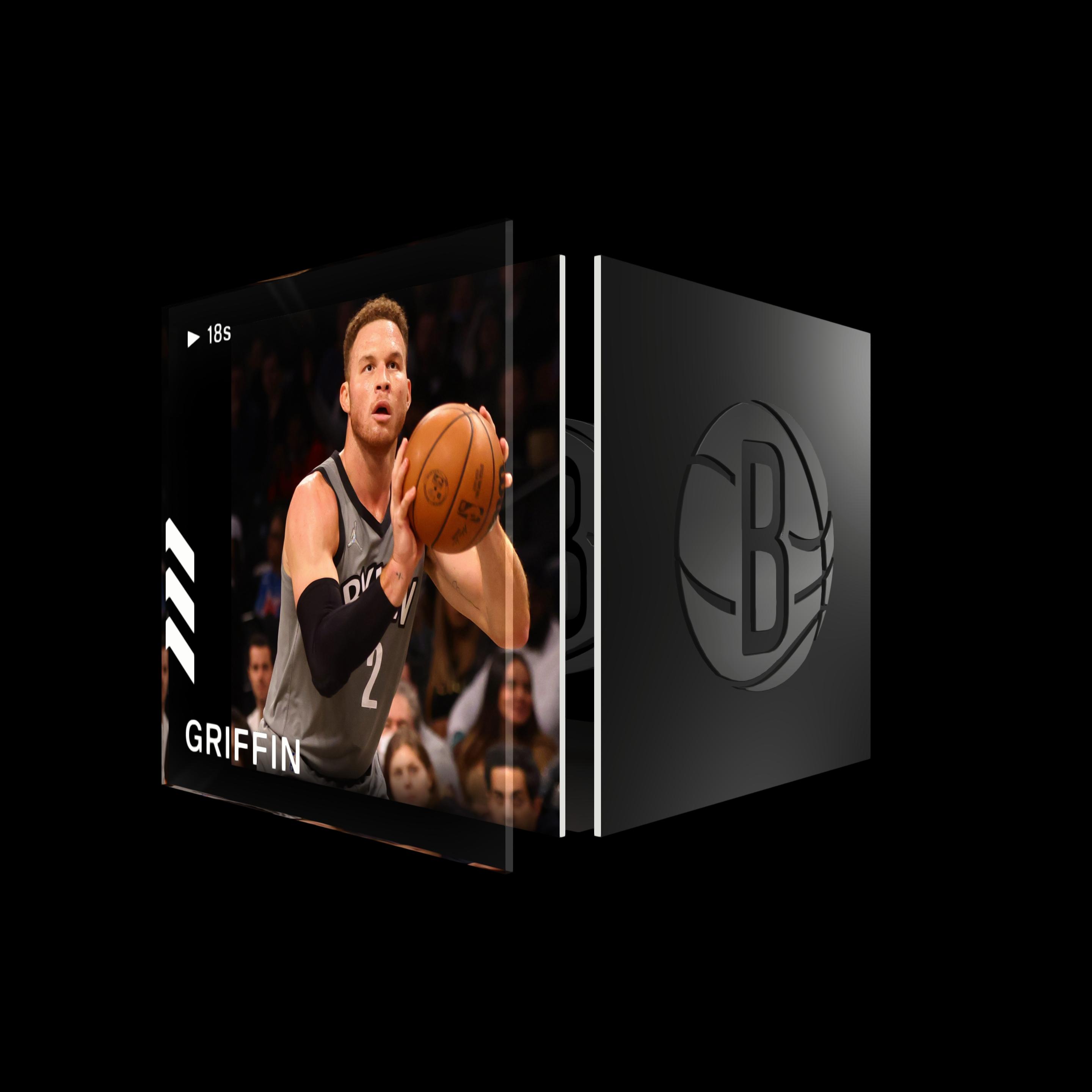 Blake Griffin asset