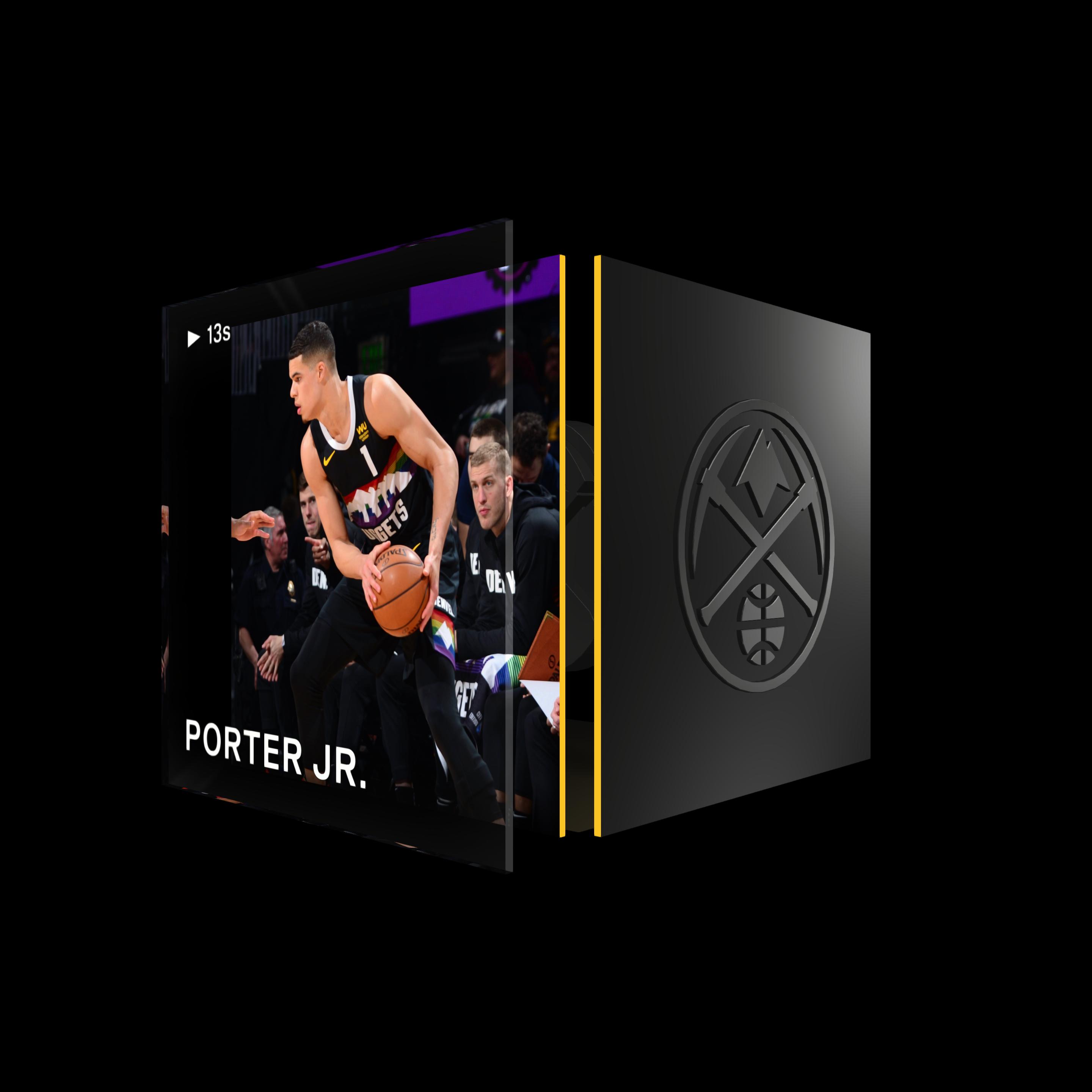 Michael Porter Jr. asset