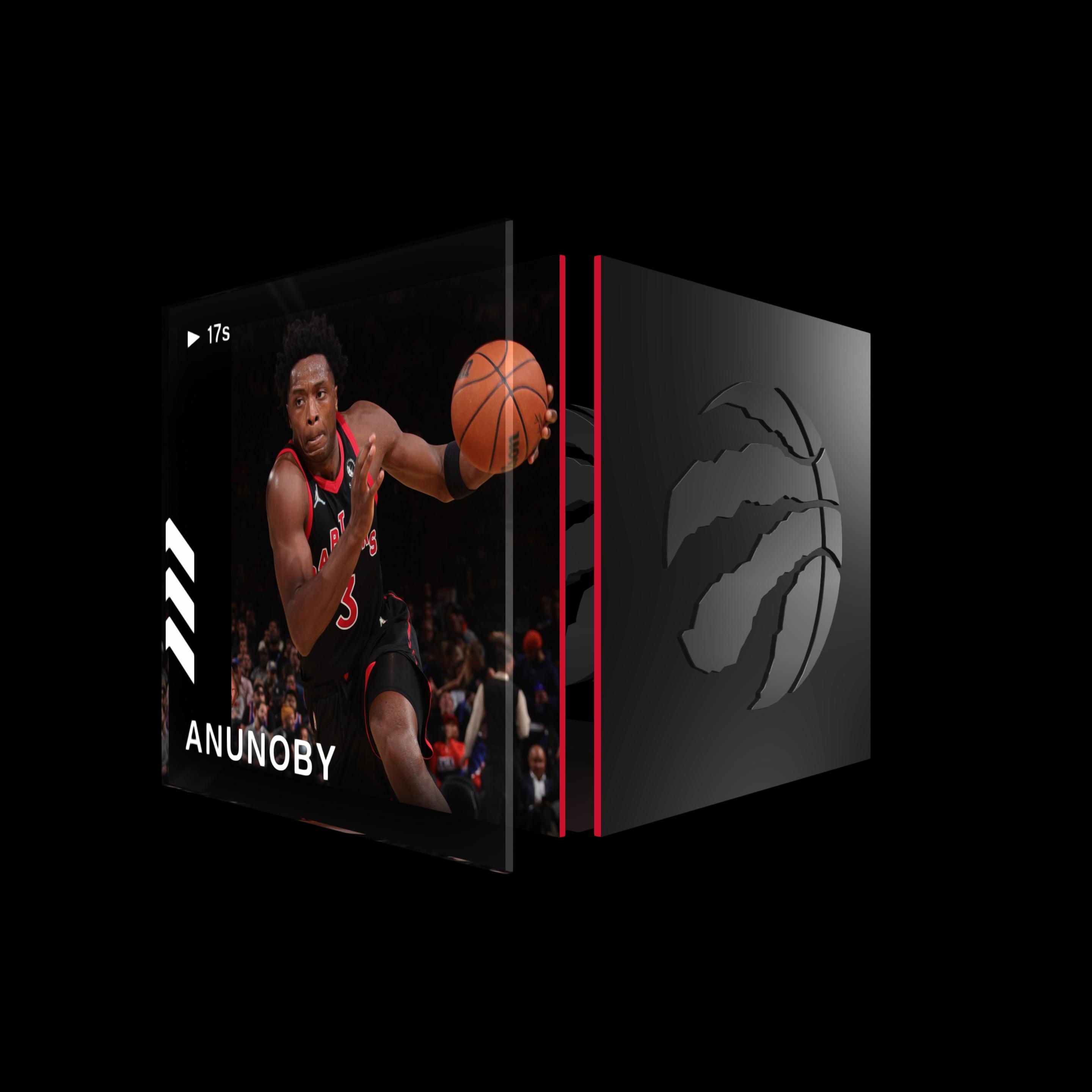 OG Anunoby asset