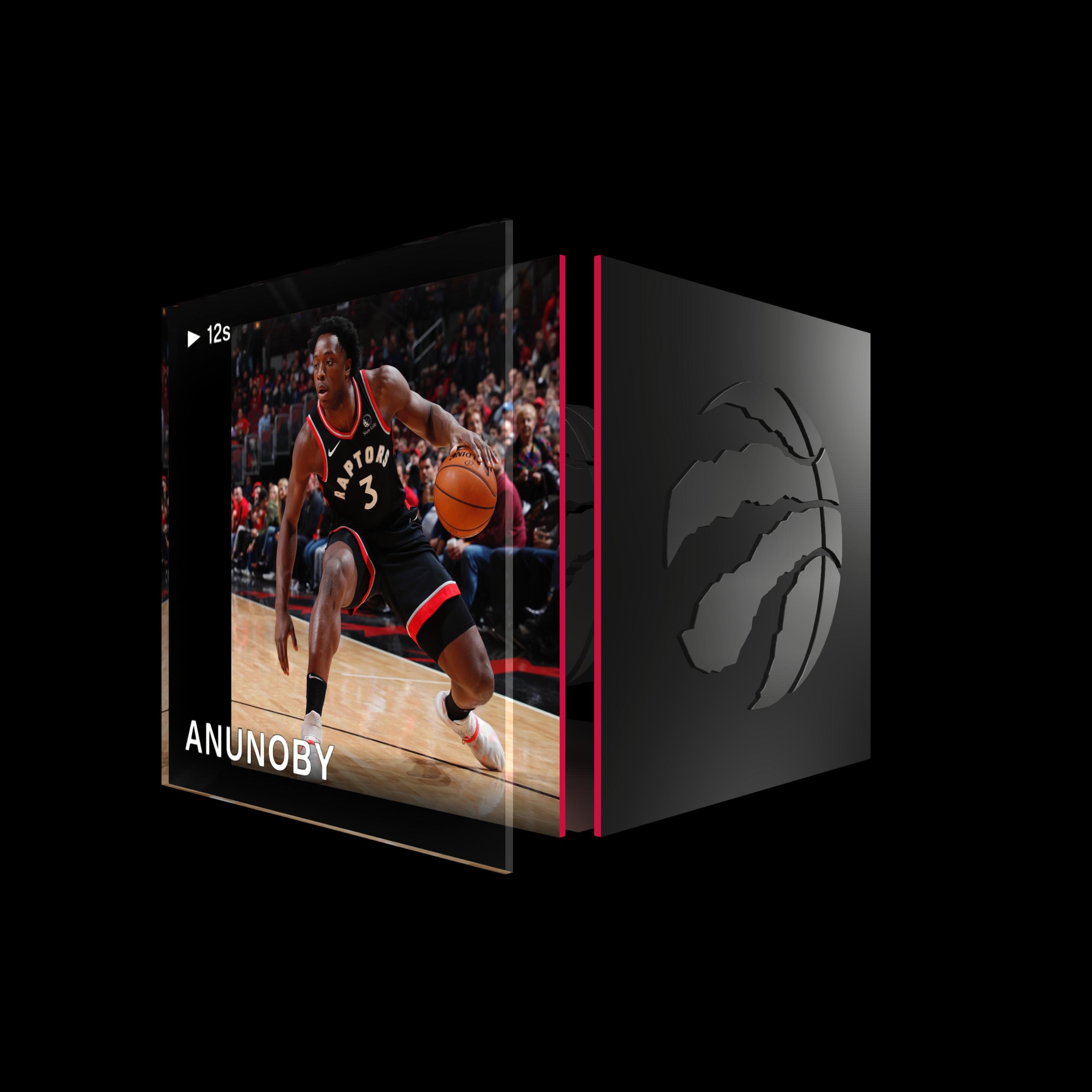OG Anunoby asset