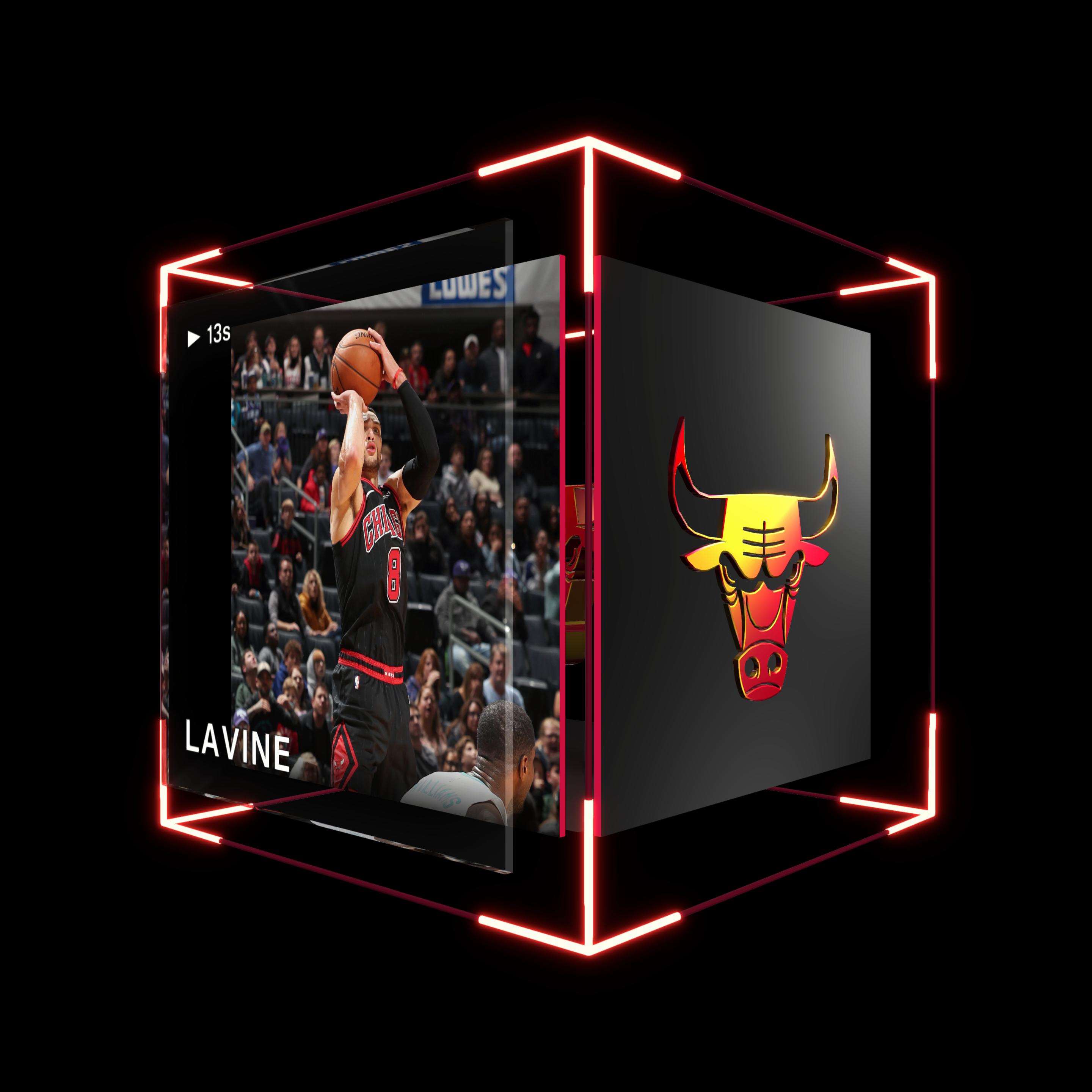 Zach LaVine asset