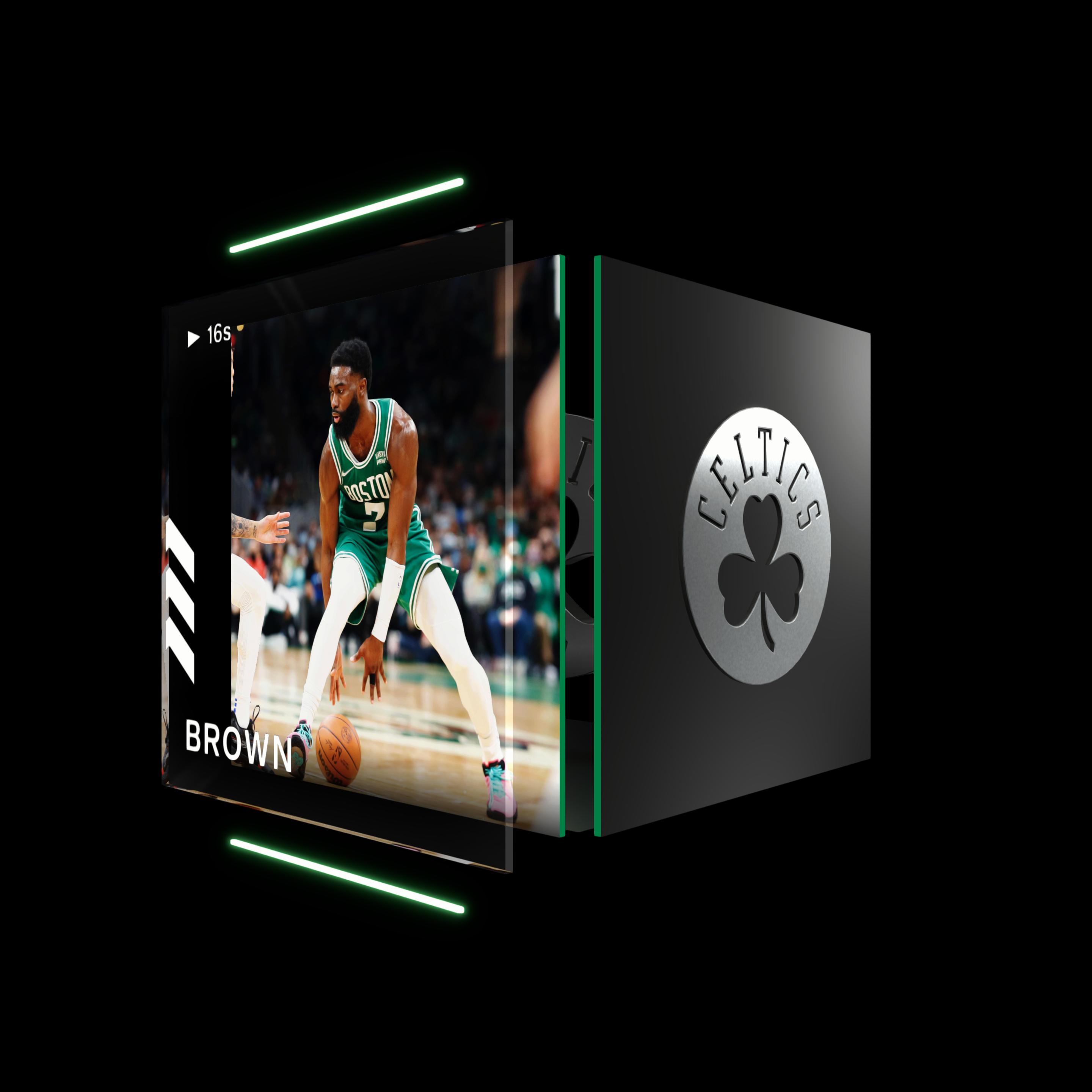 Jaylen Brown asset
