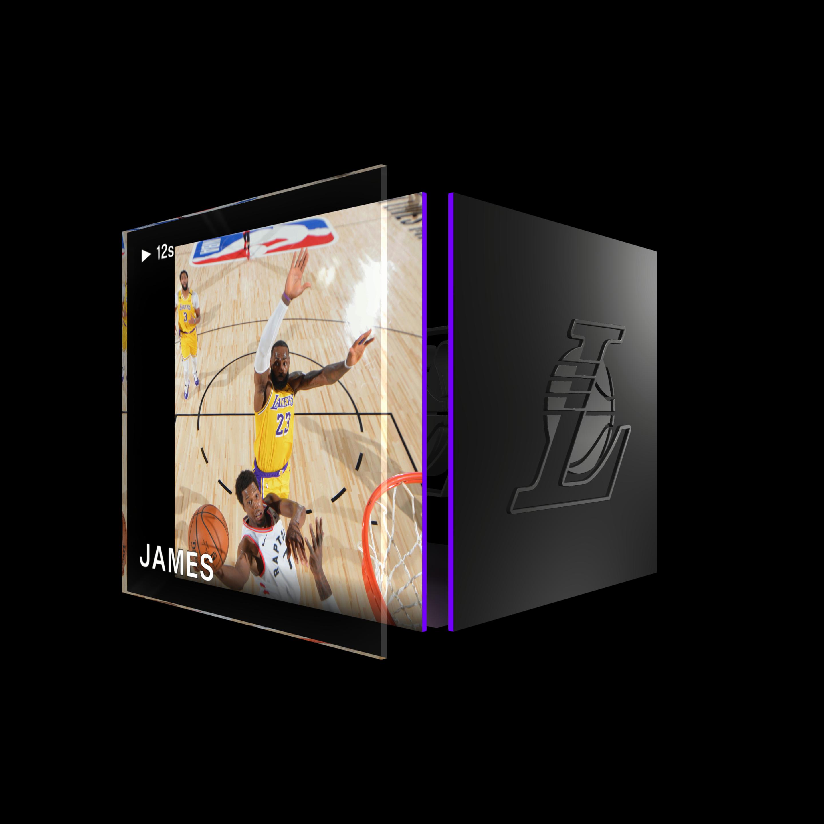 LeBron James asset