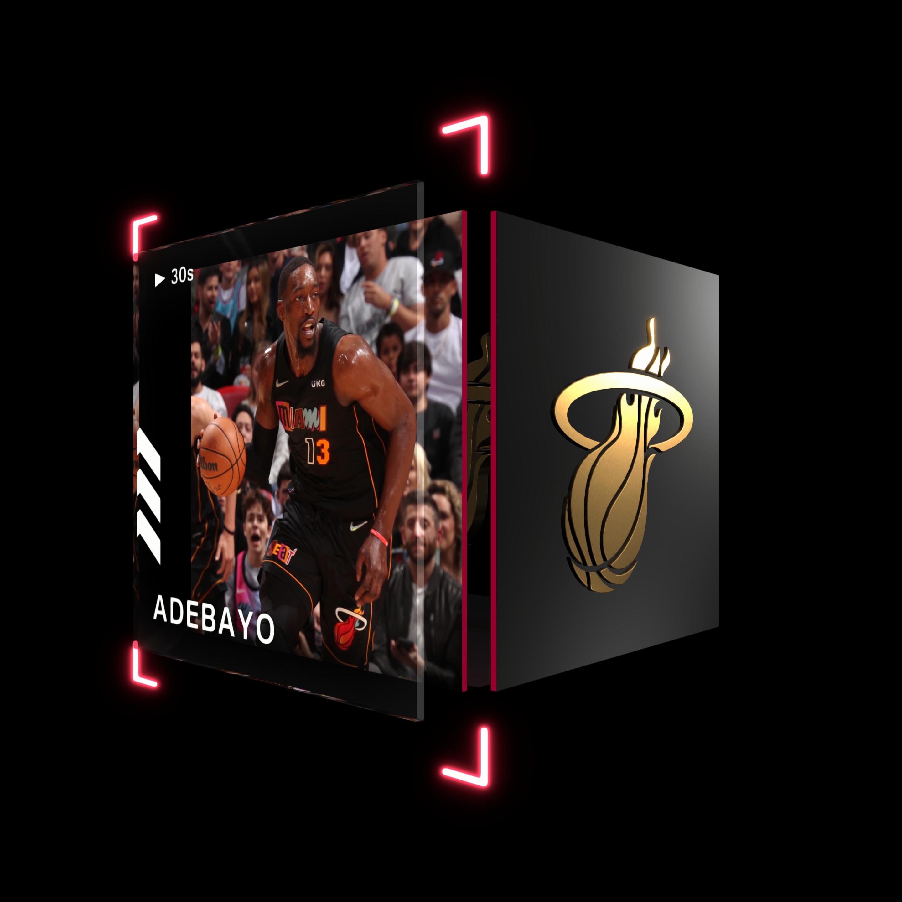 Bam Adebayo asset