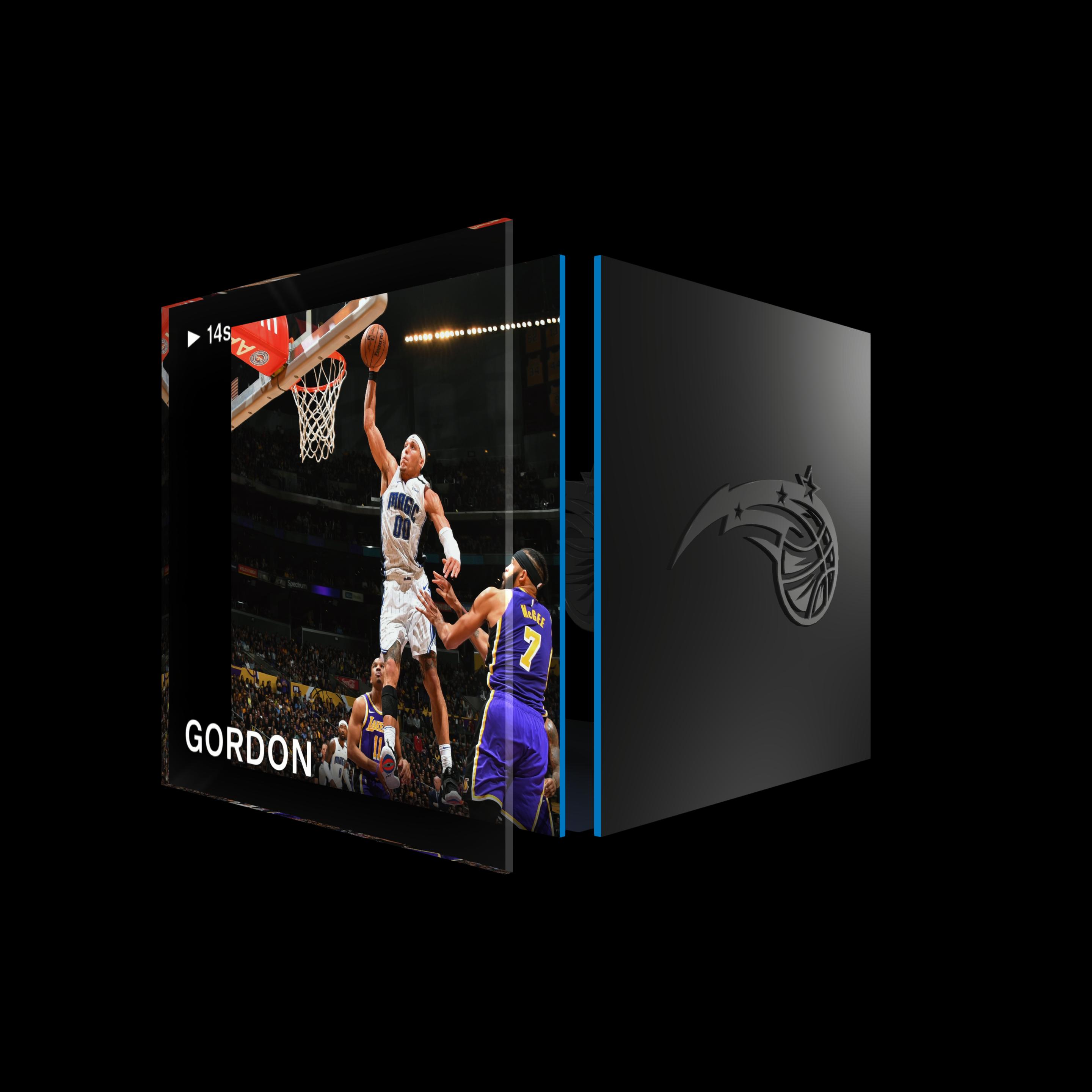 Aaron Gordon asset