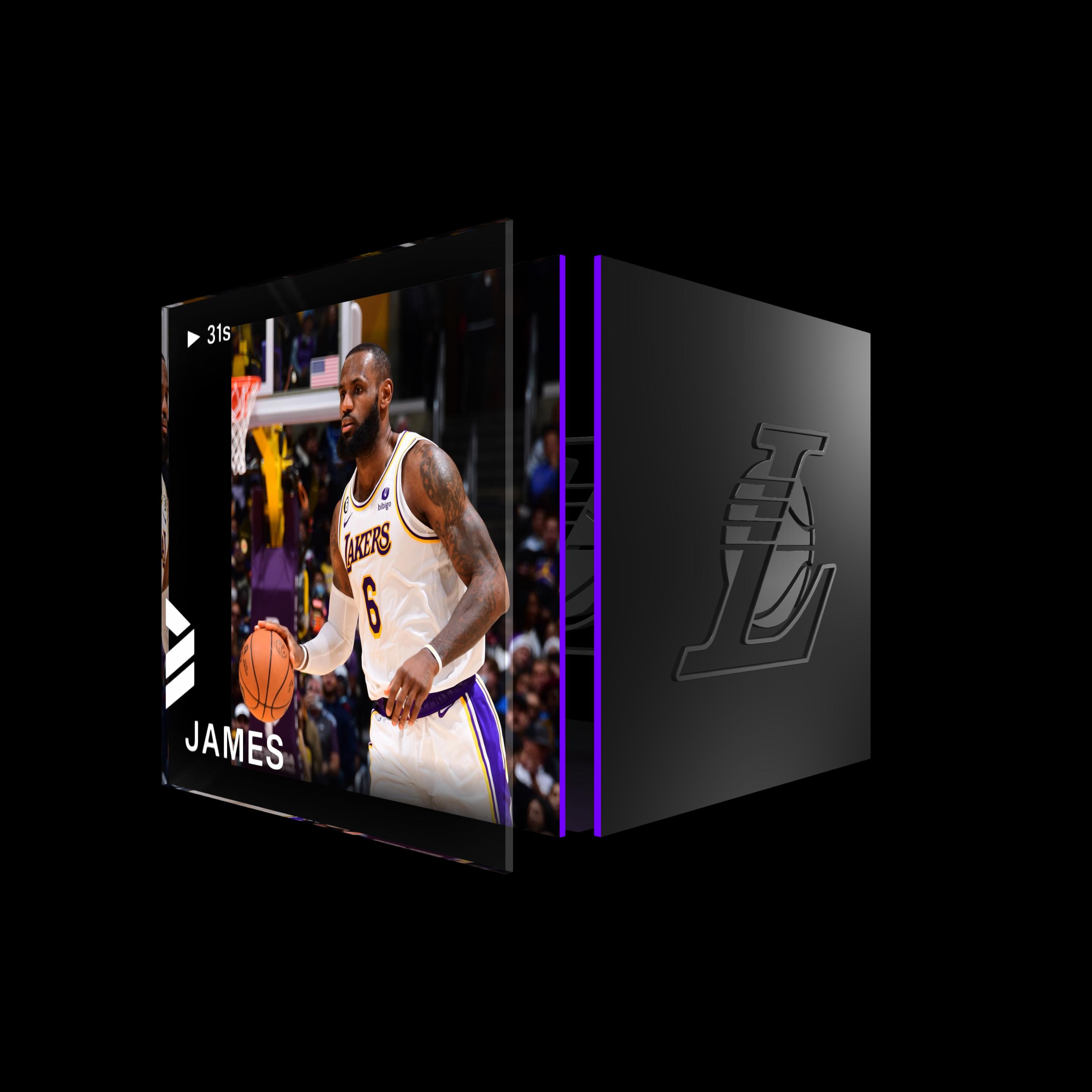 LeBron James asset