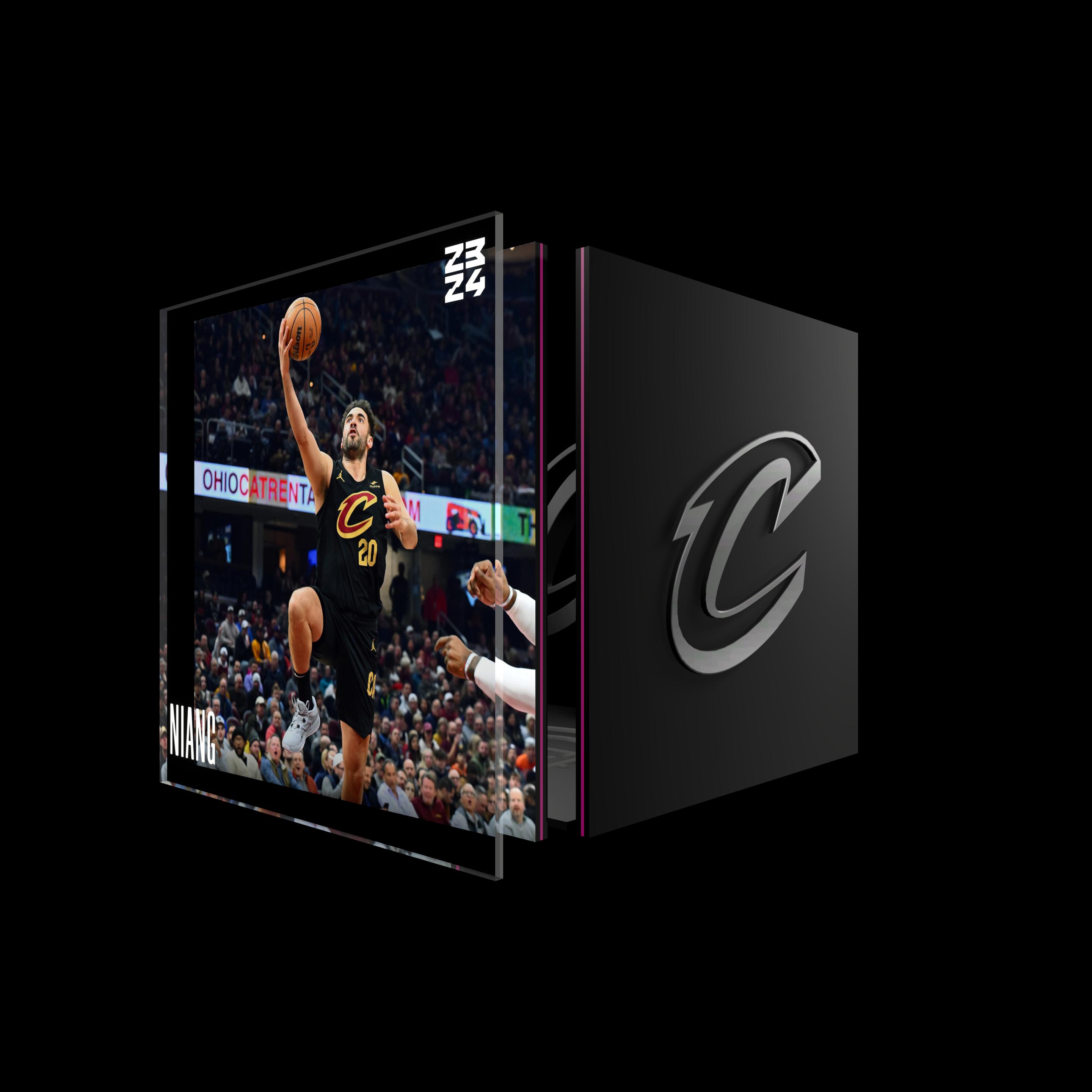 Georges Niang asset