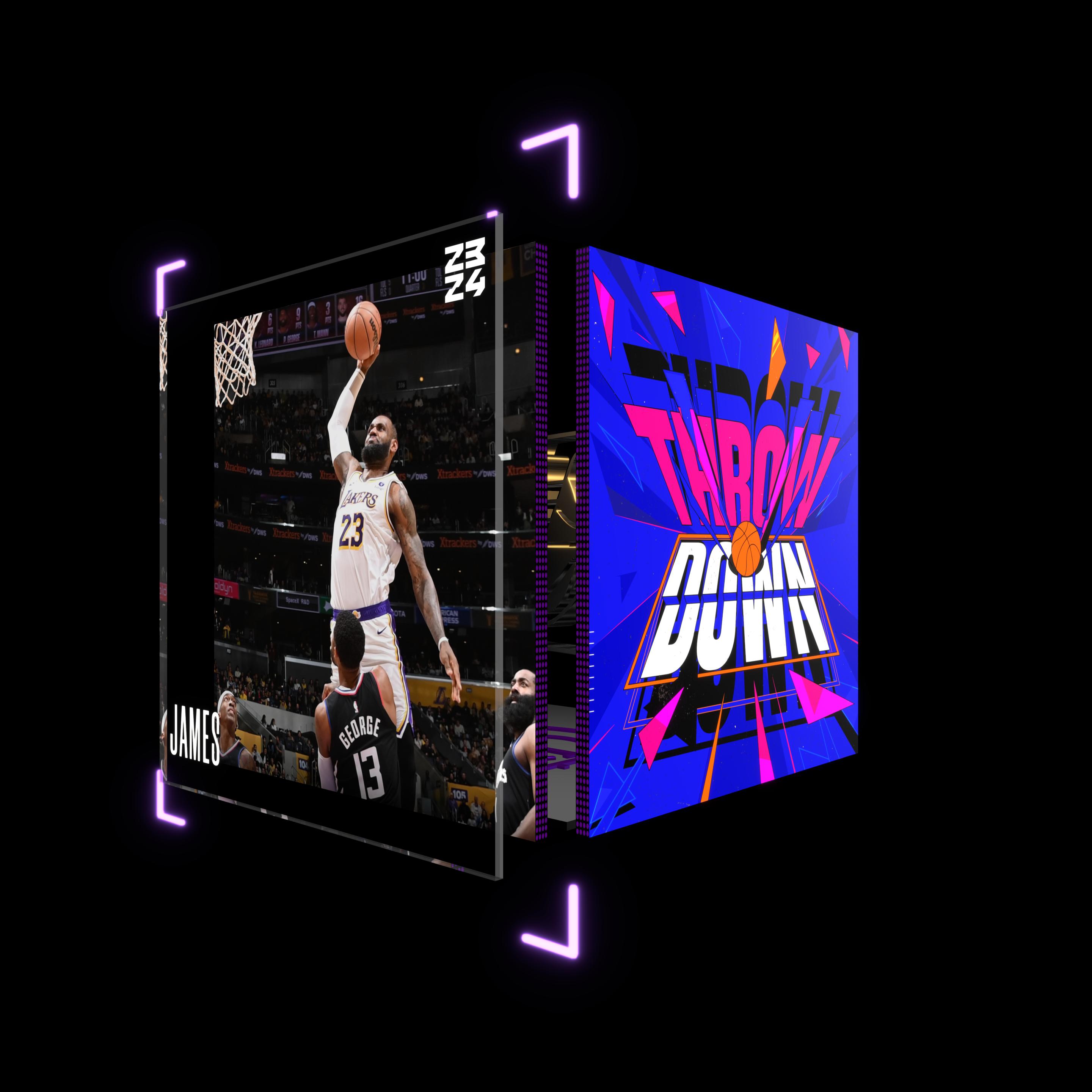 LeBron James asset