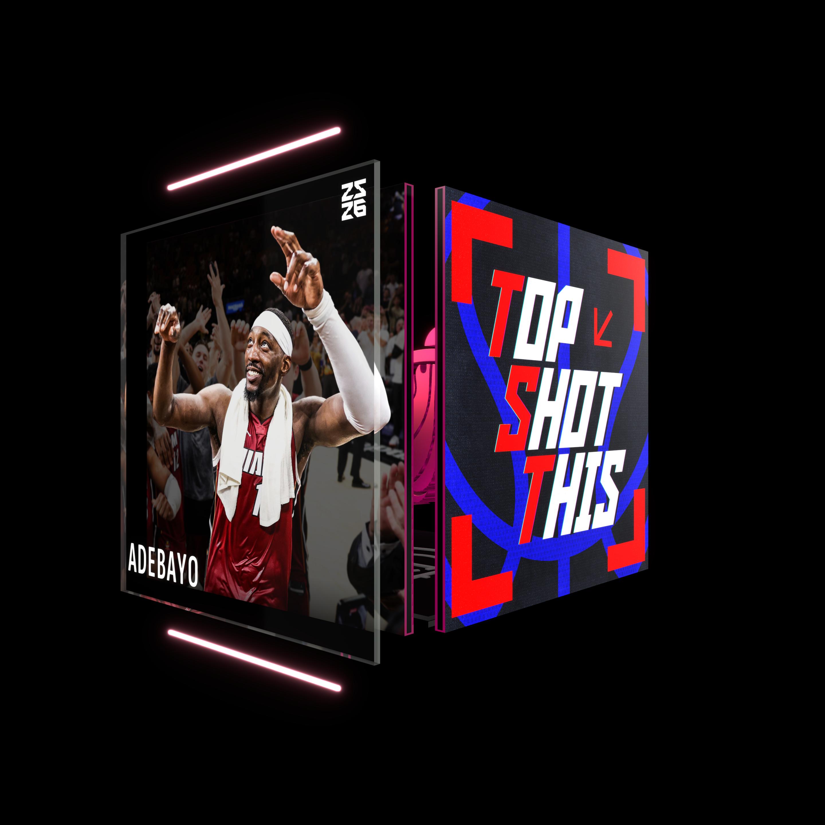 Bam Adebayo asset