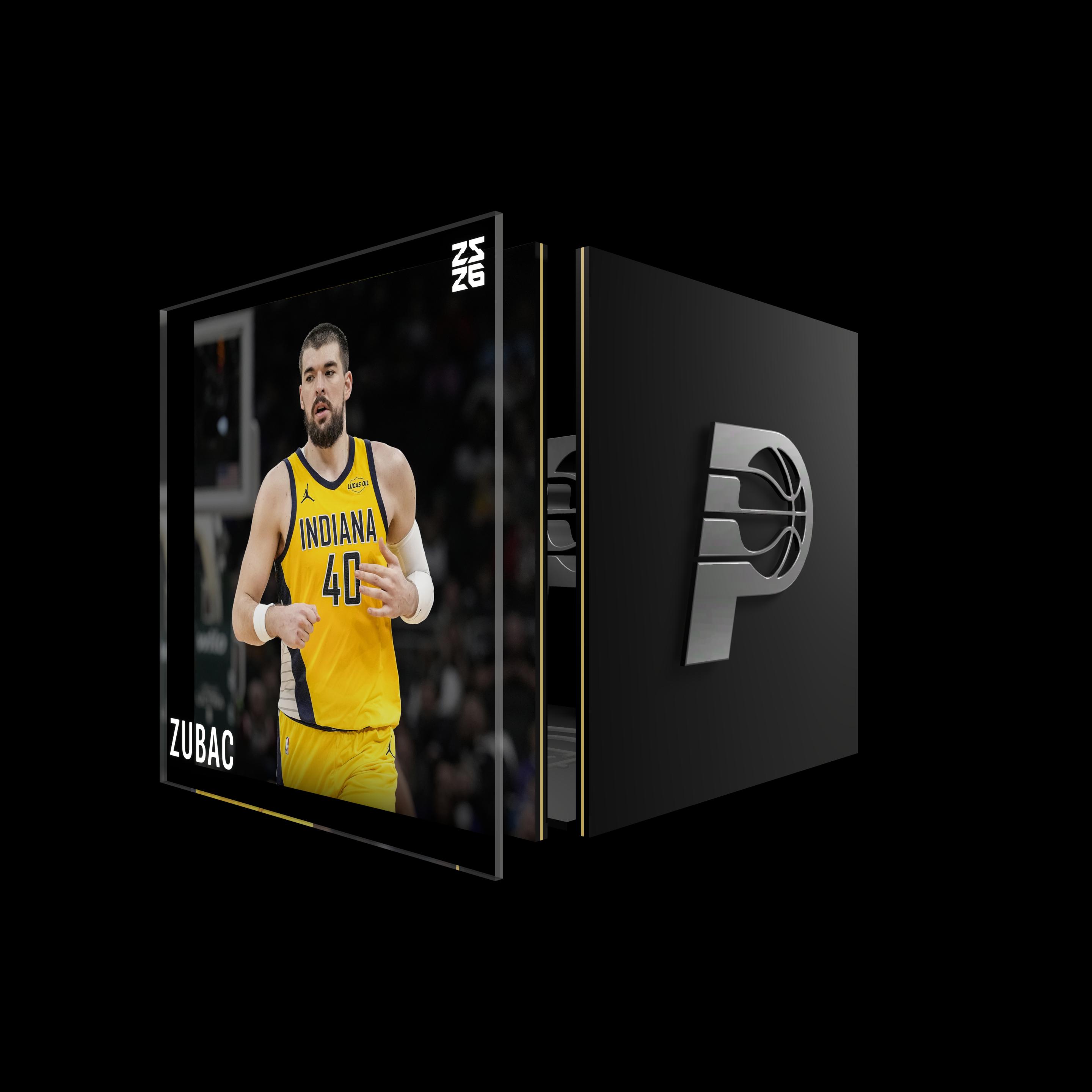 Ivica Zubac asset