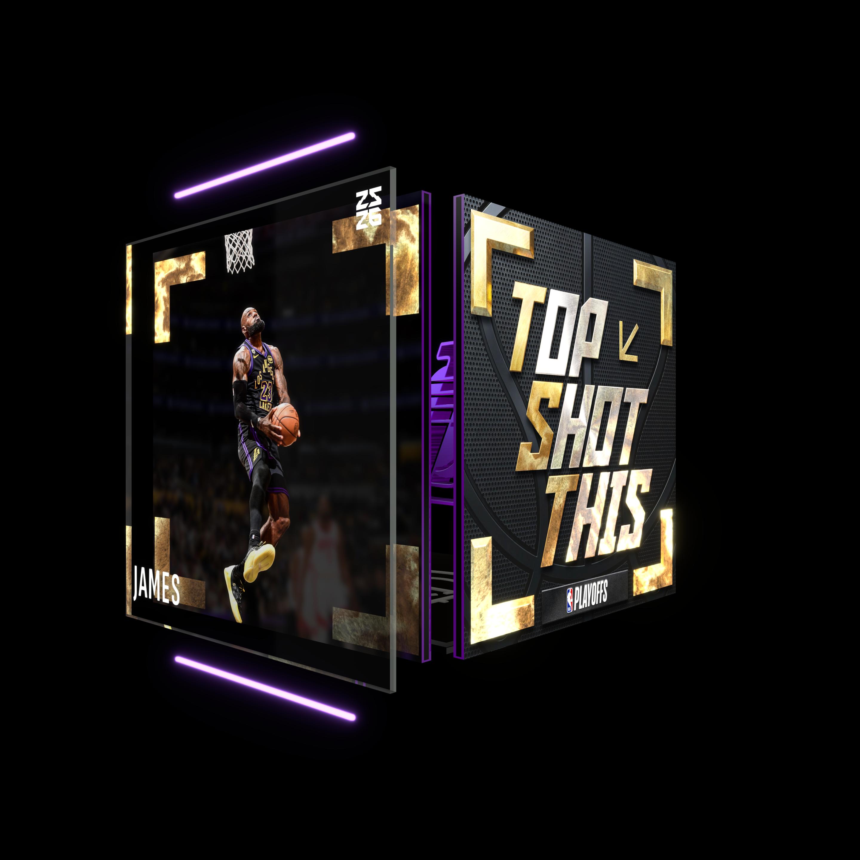 LeBron James asset