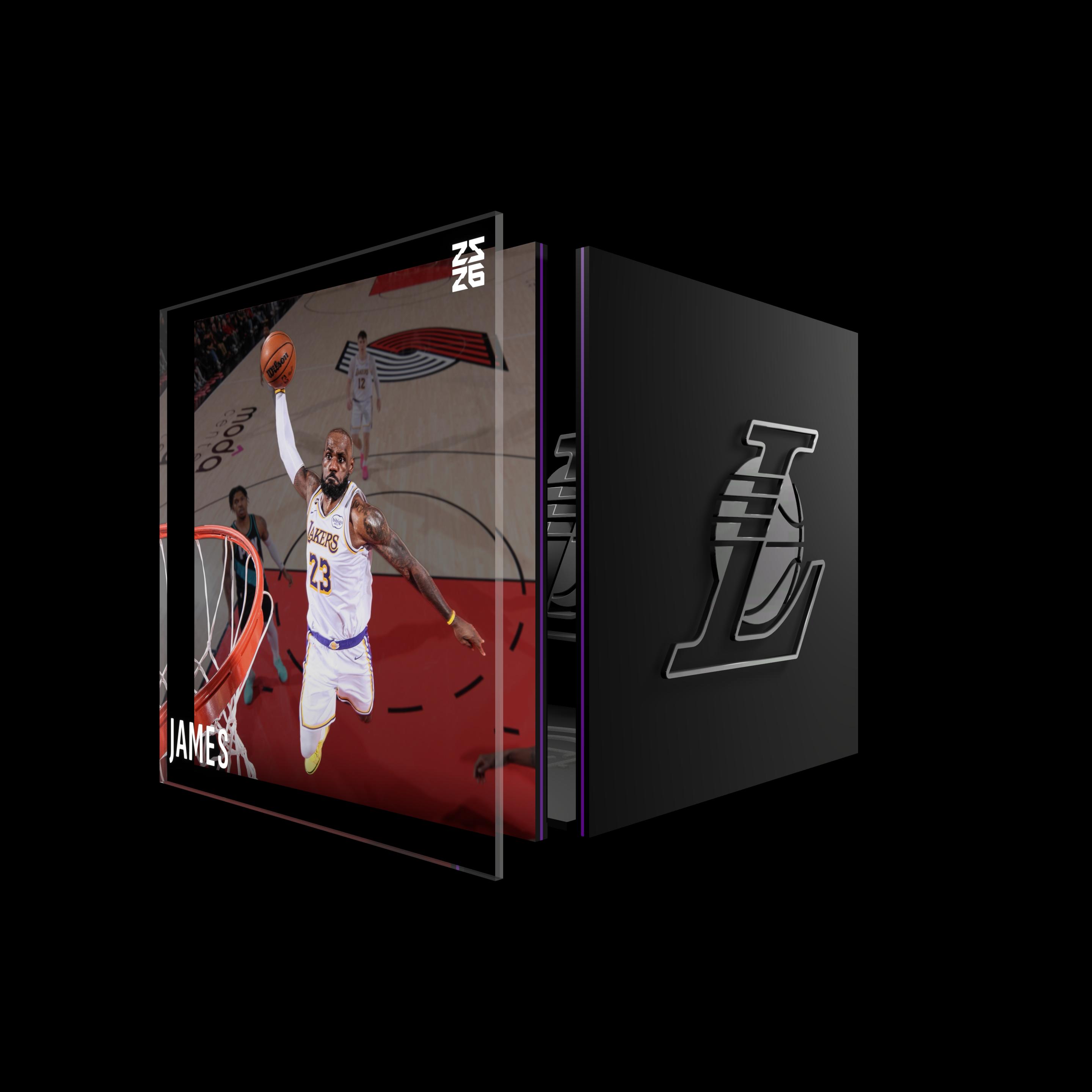 LeBron James asset