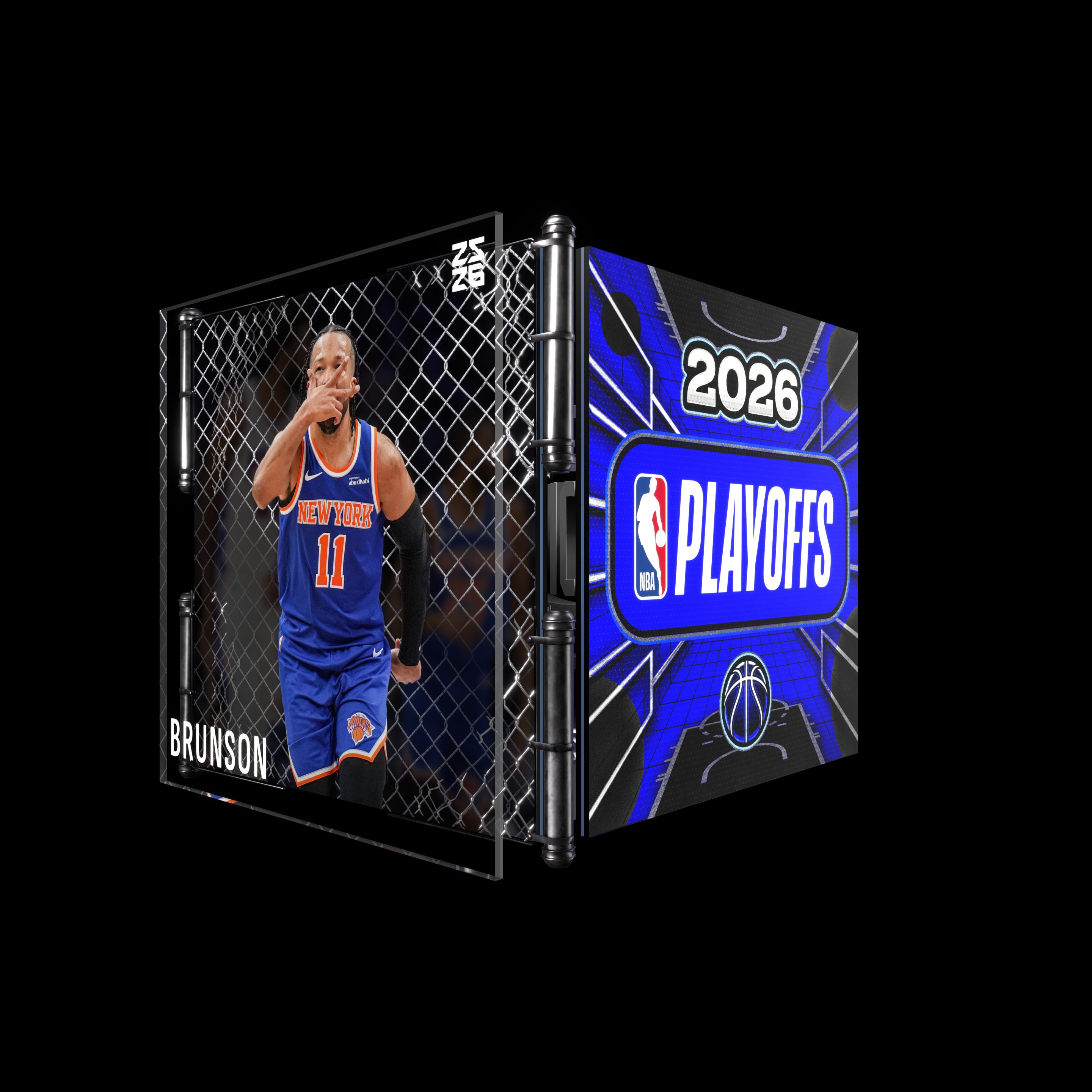 Jalen Brunson asset