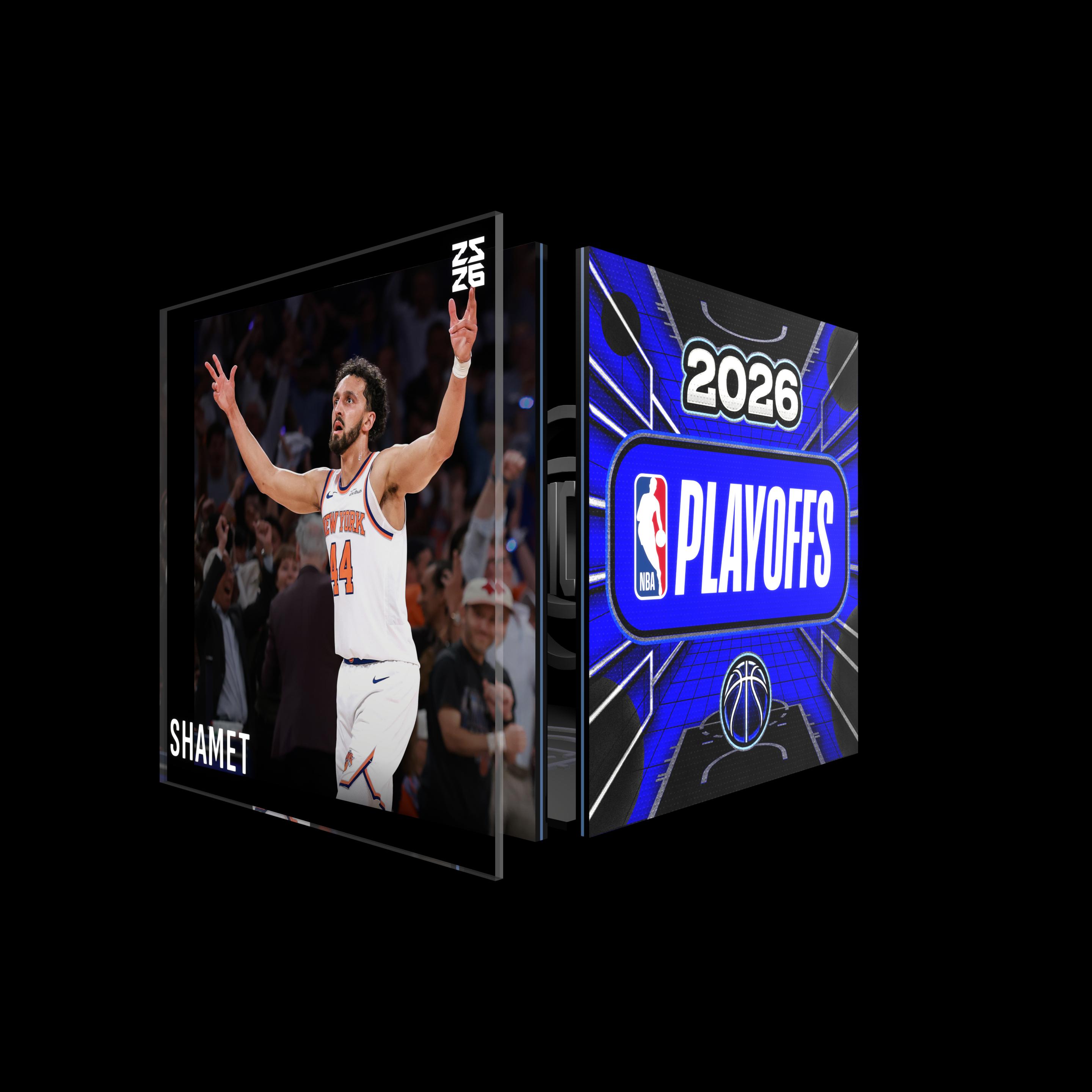 Landry Shamet asset