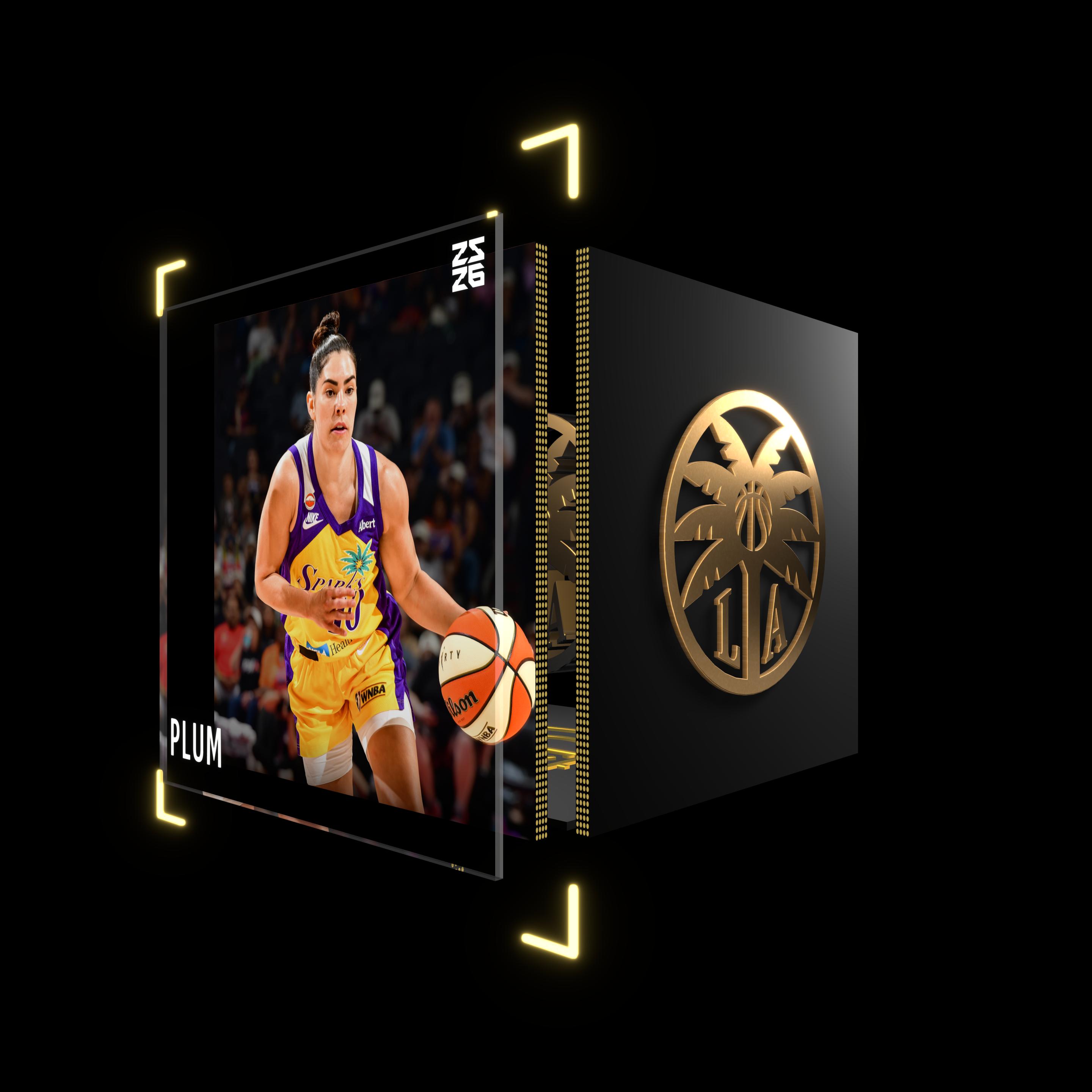 Kelsey Plum asset