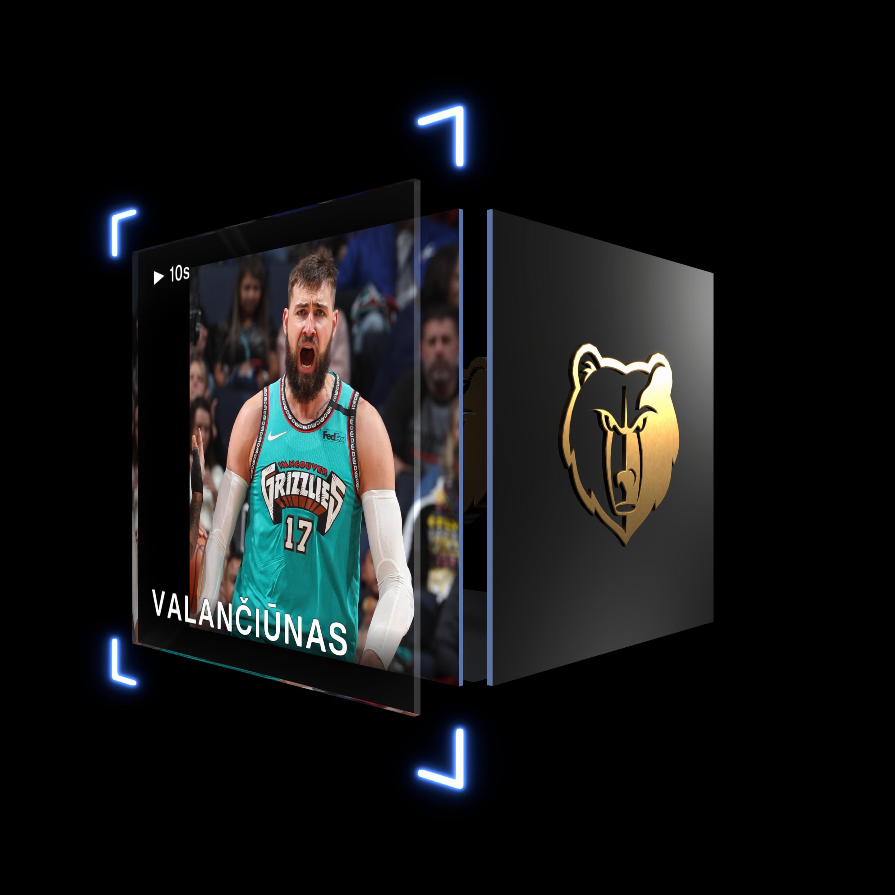 Jonas Valančiūnas asset