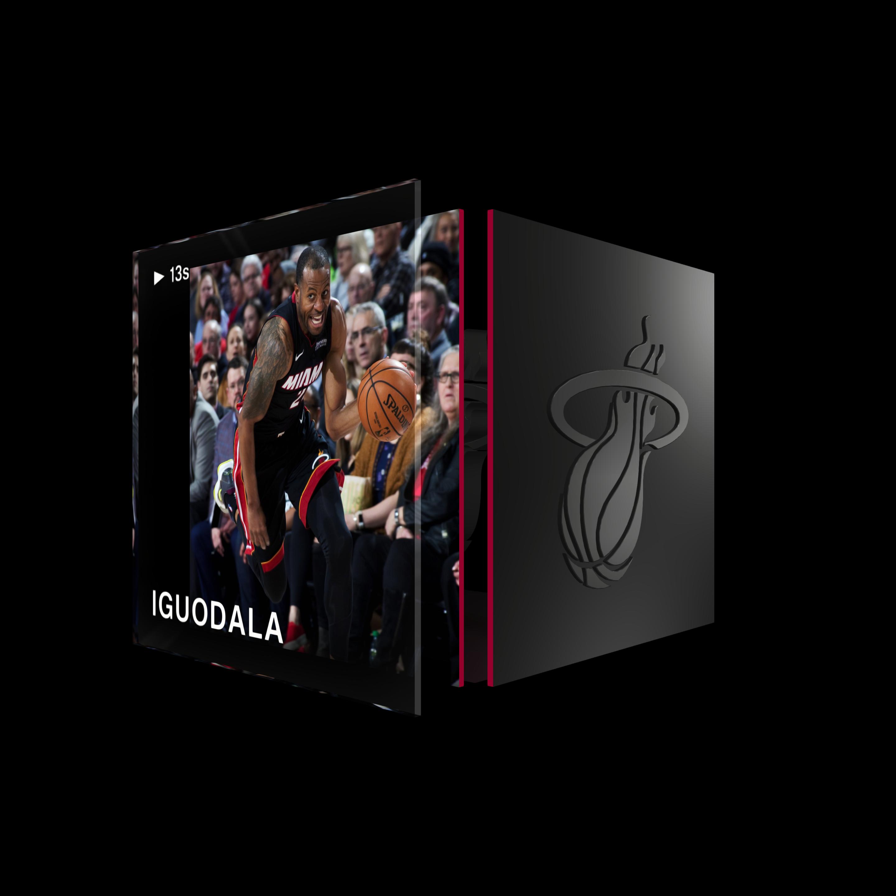 Andre Iguodala asset