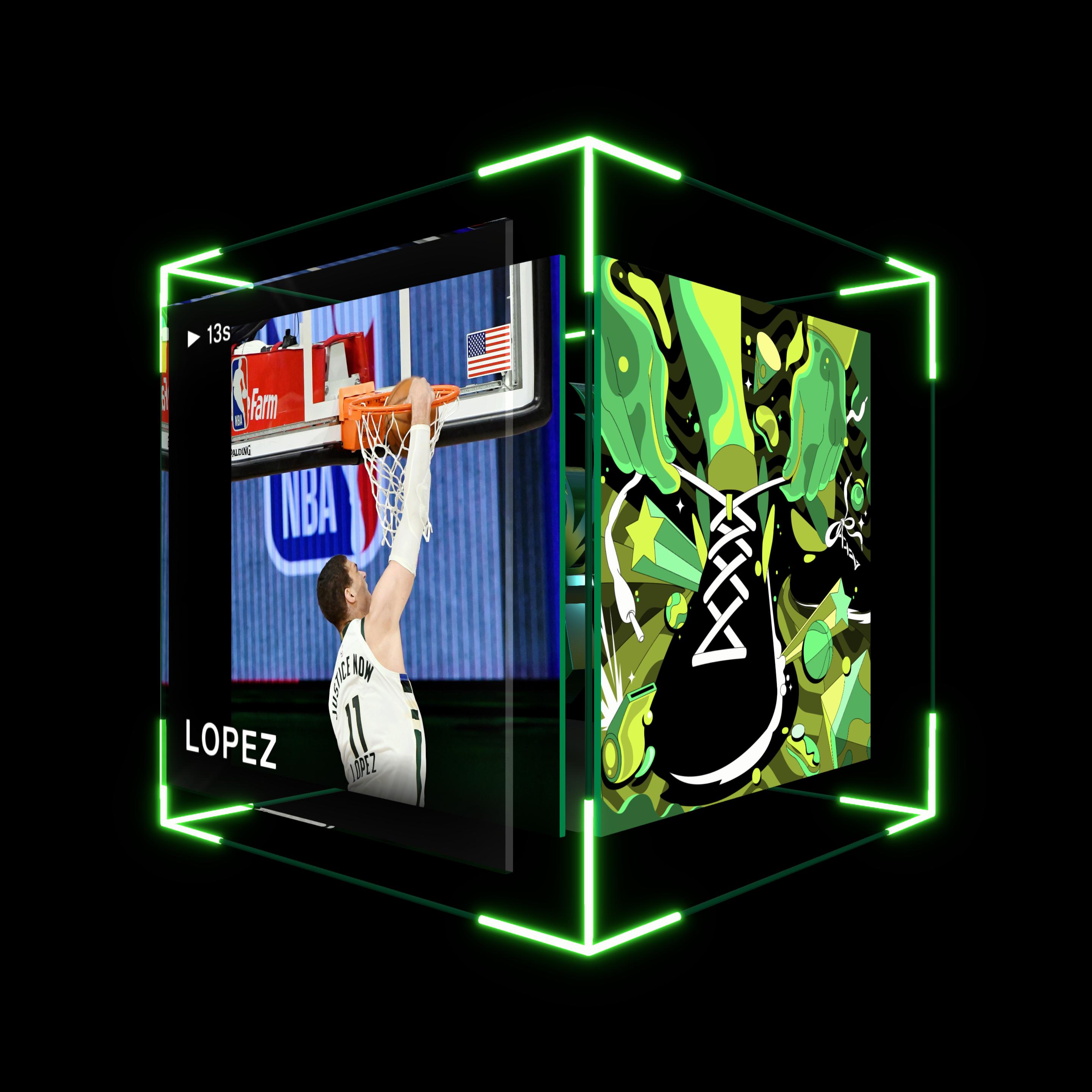 Brook Lopez asset