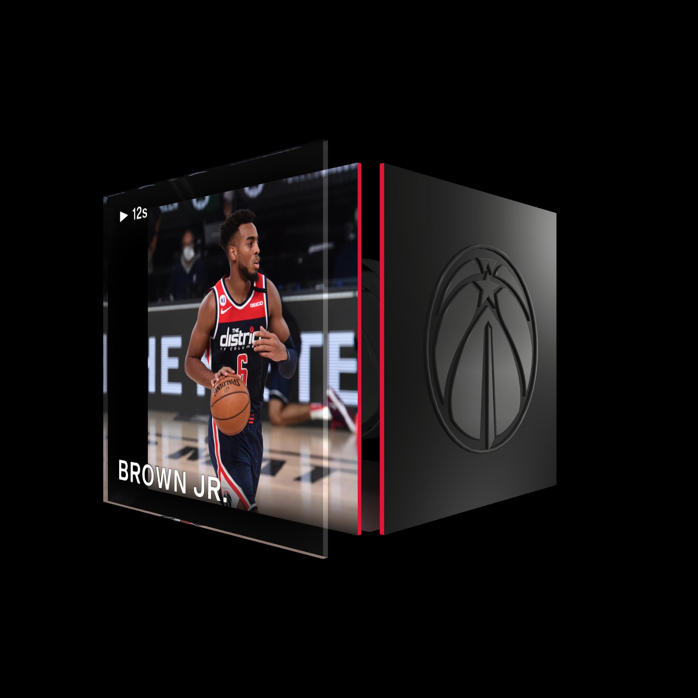 Troy Brown Jr. asset