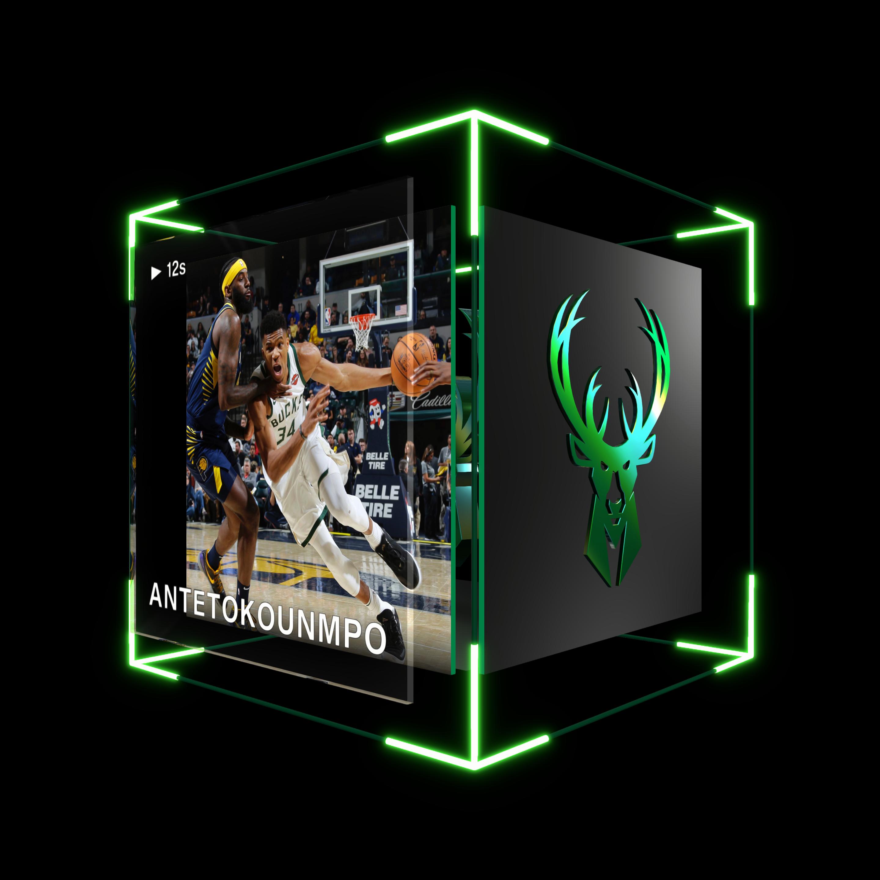 teerex81 avatar