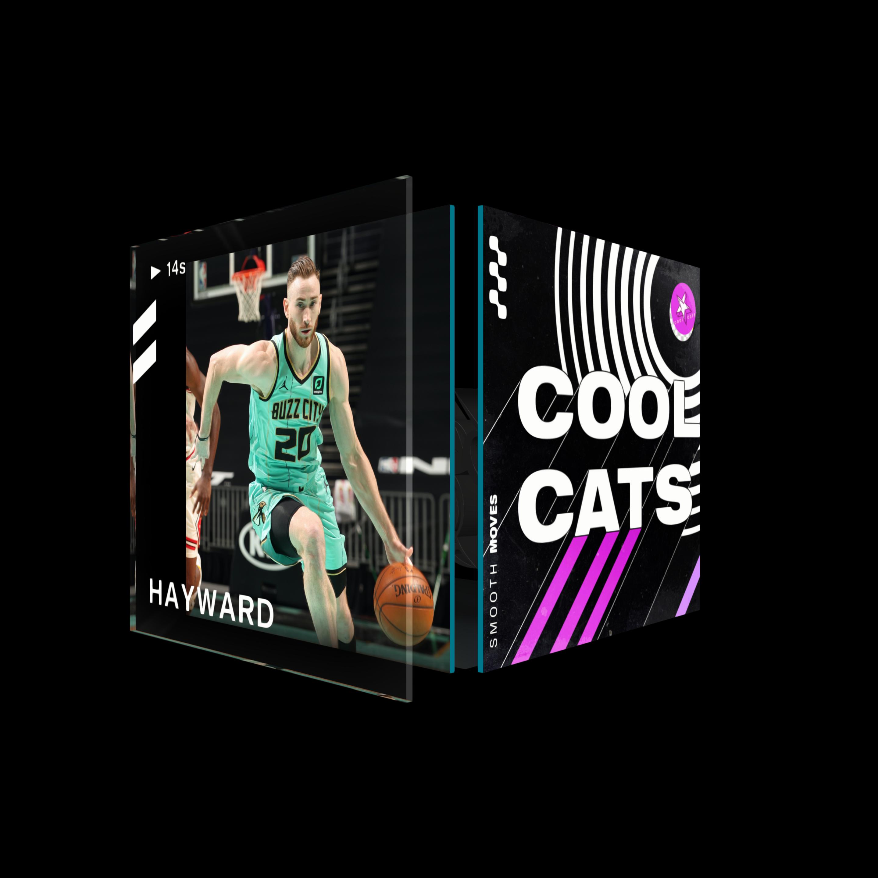 Gordon Hayward asset