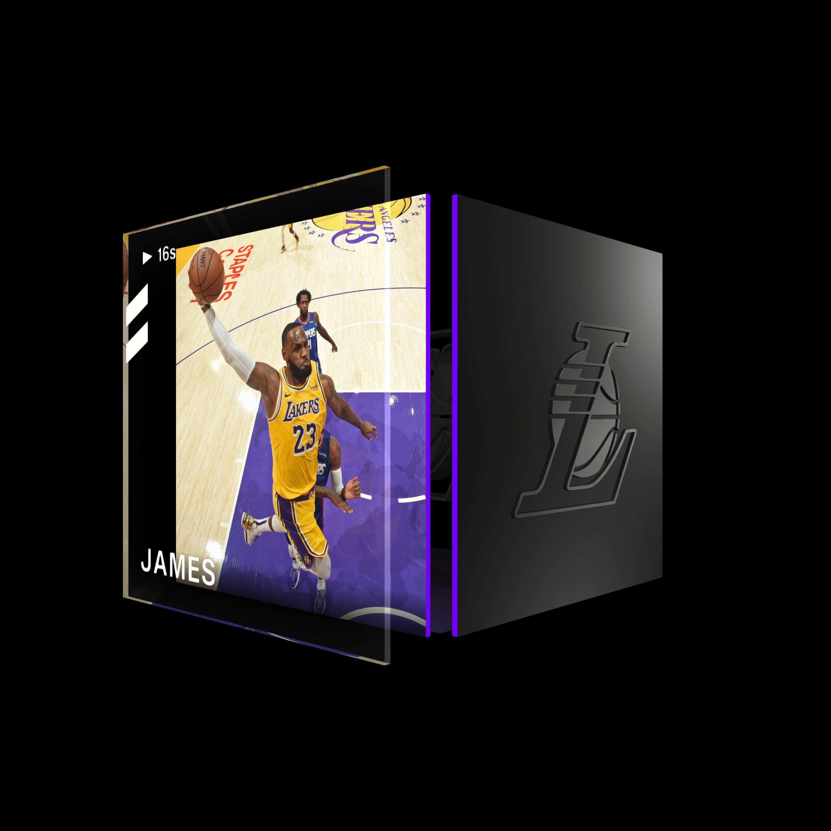 LeBron James asset
