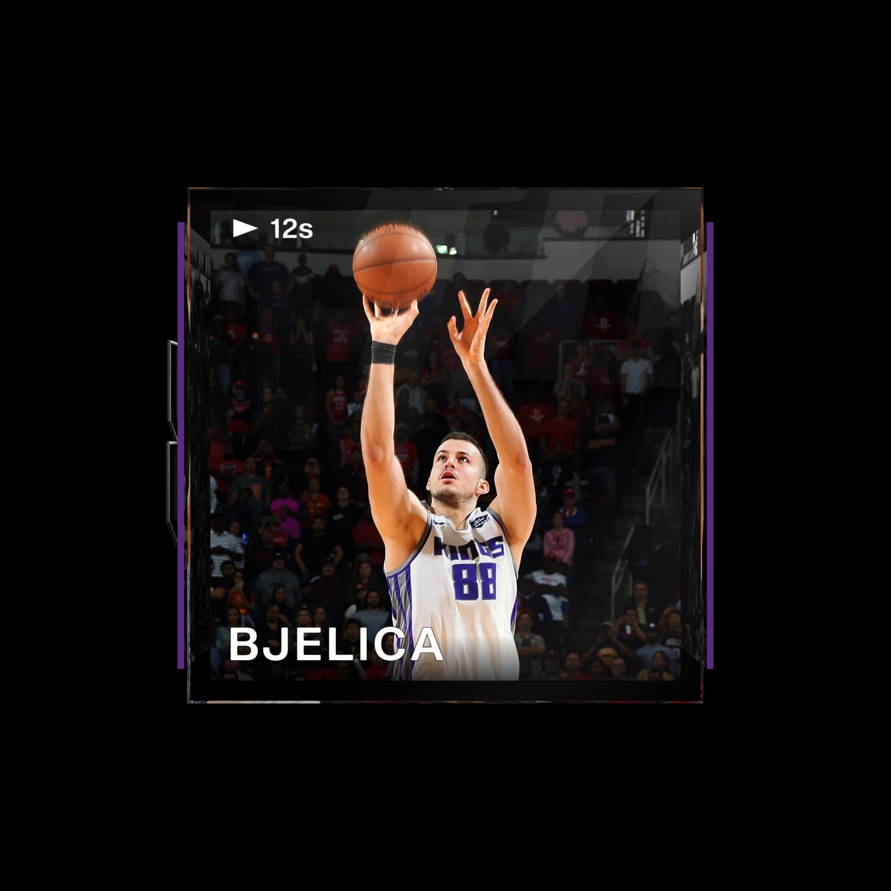 Nemanja Bjelica