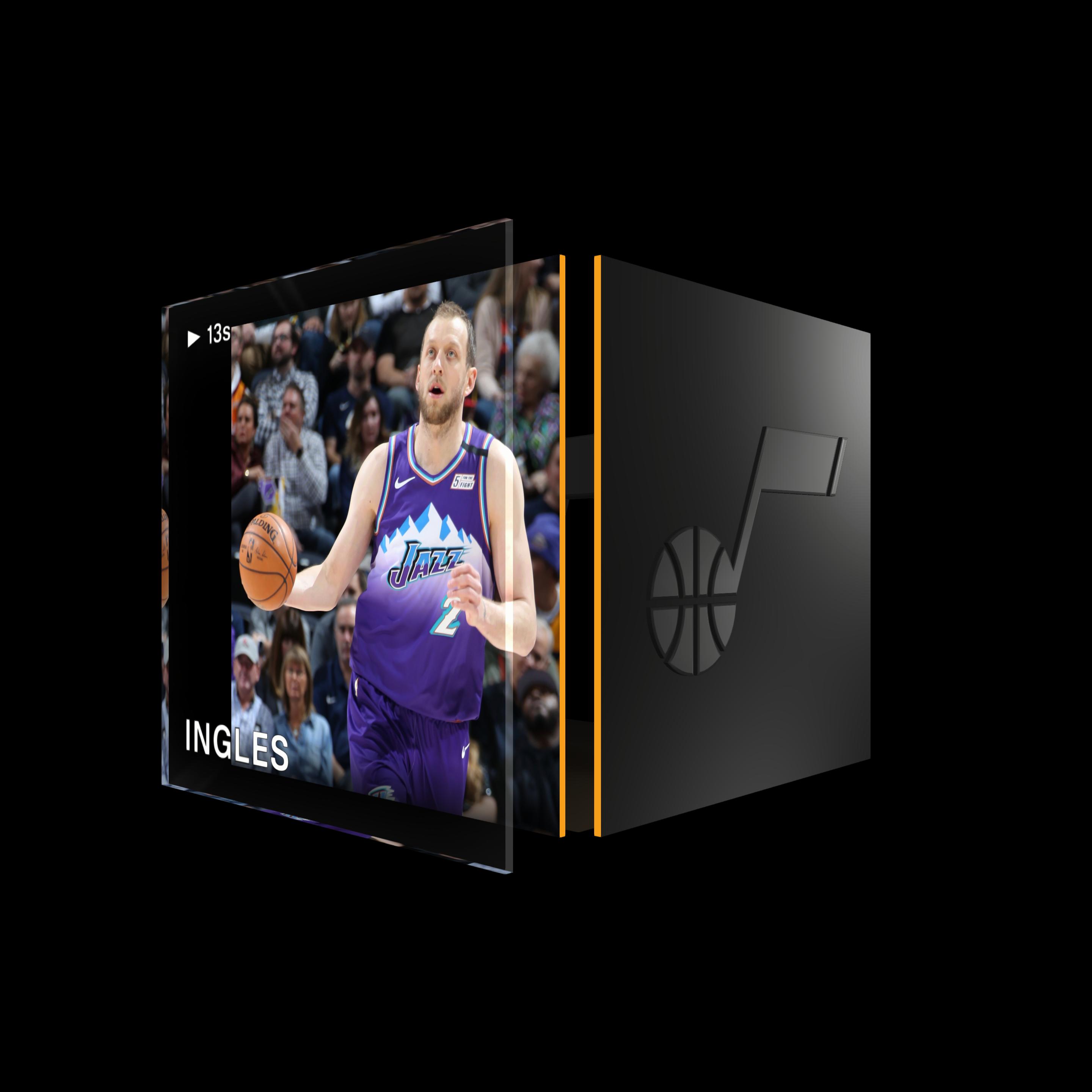 Joe Ingles