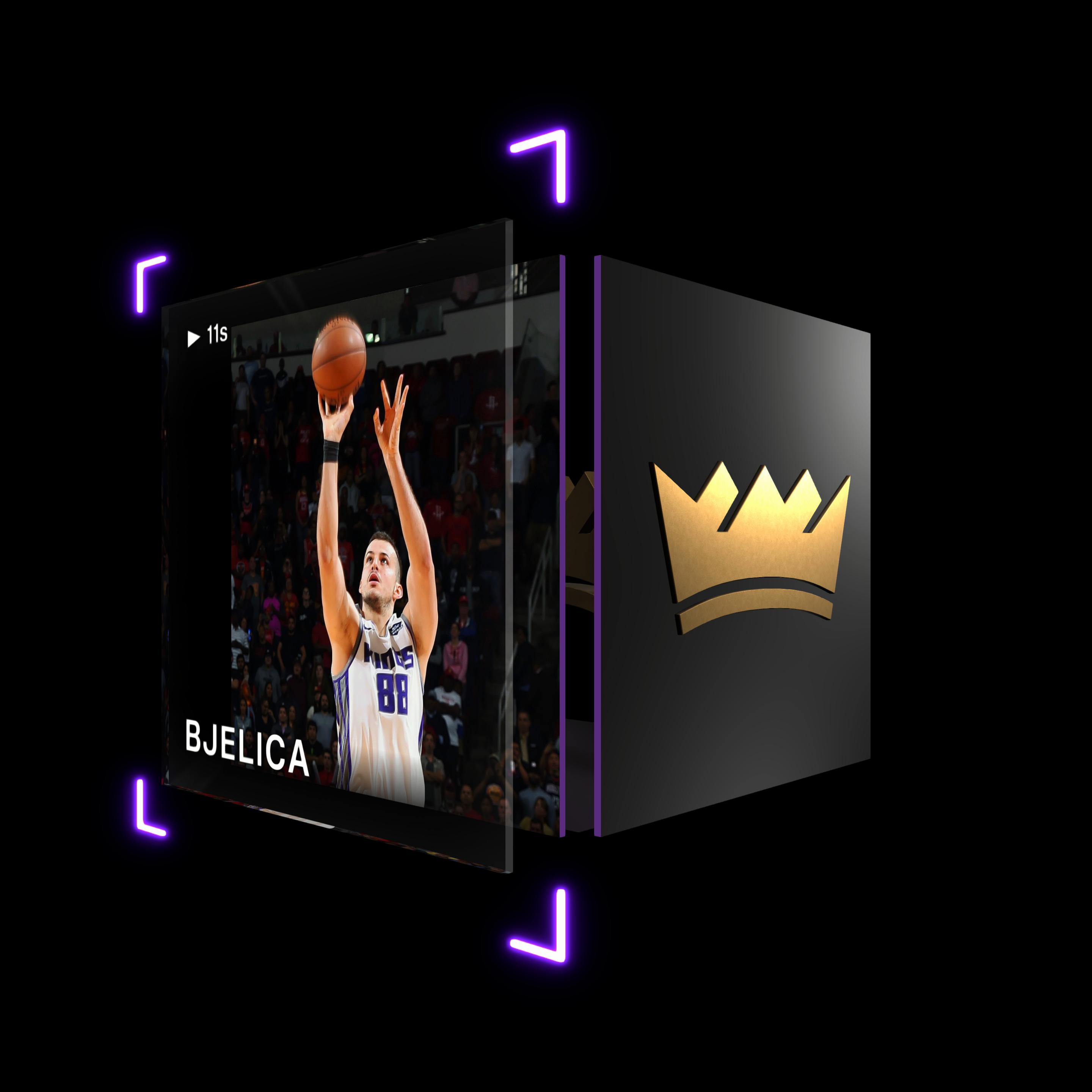 Nemanja Bjelica