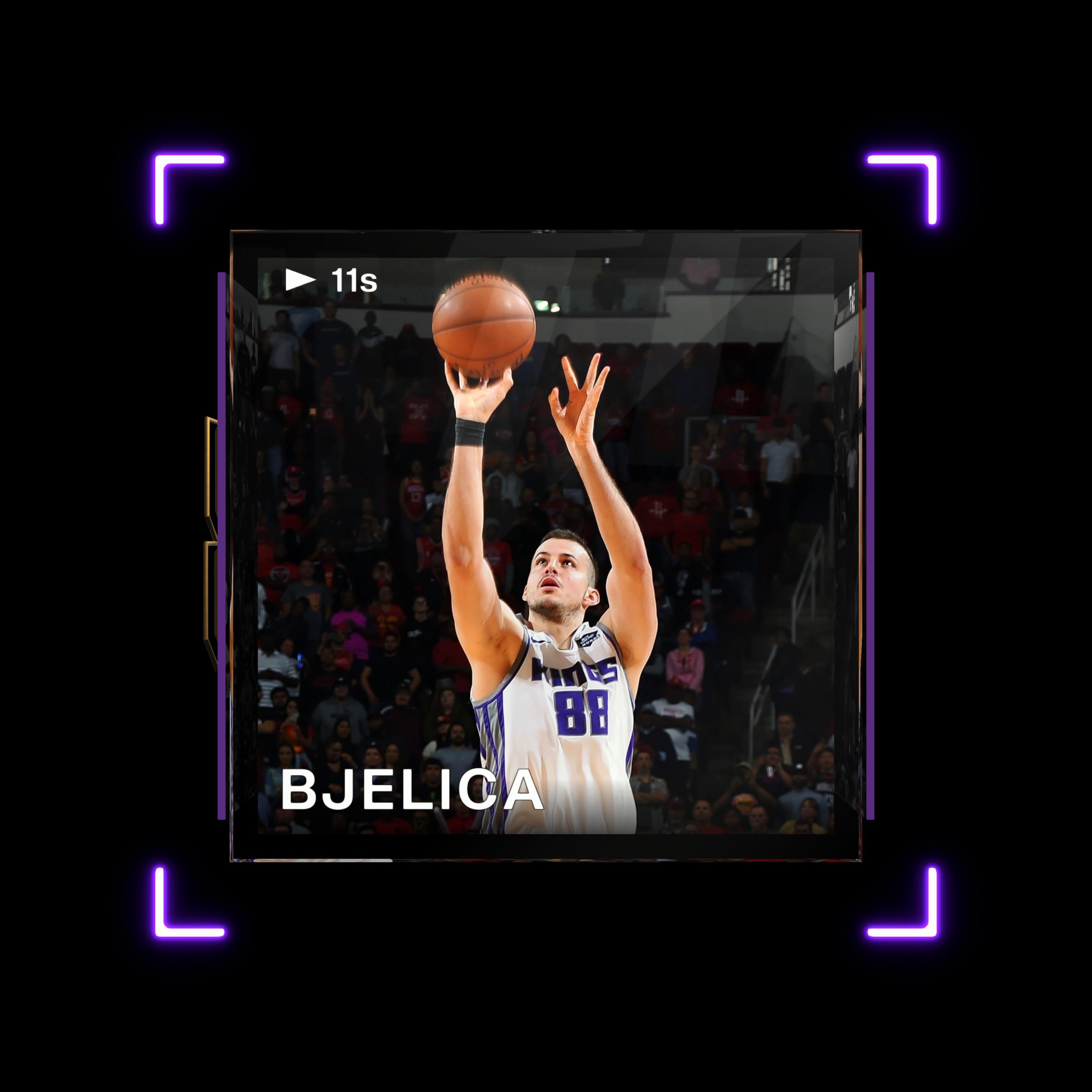 Nemanja Bjelica