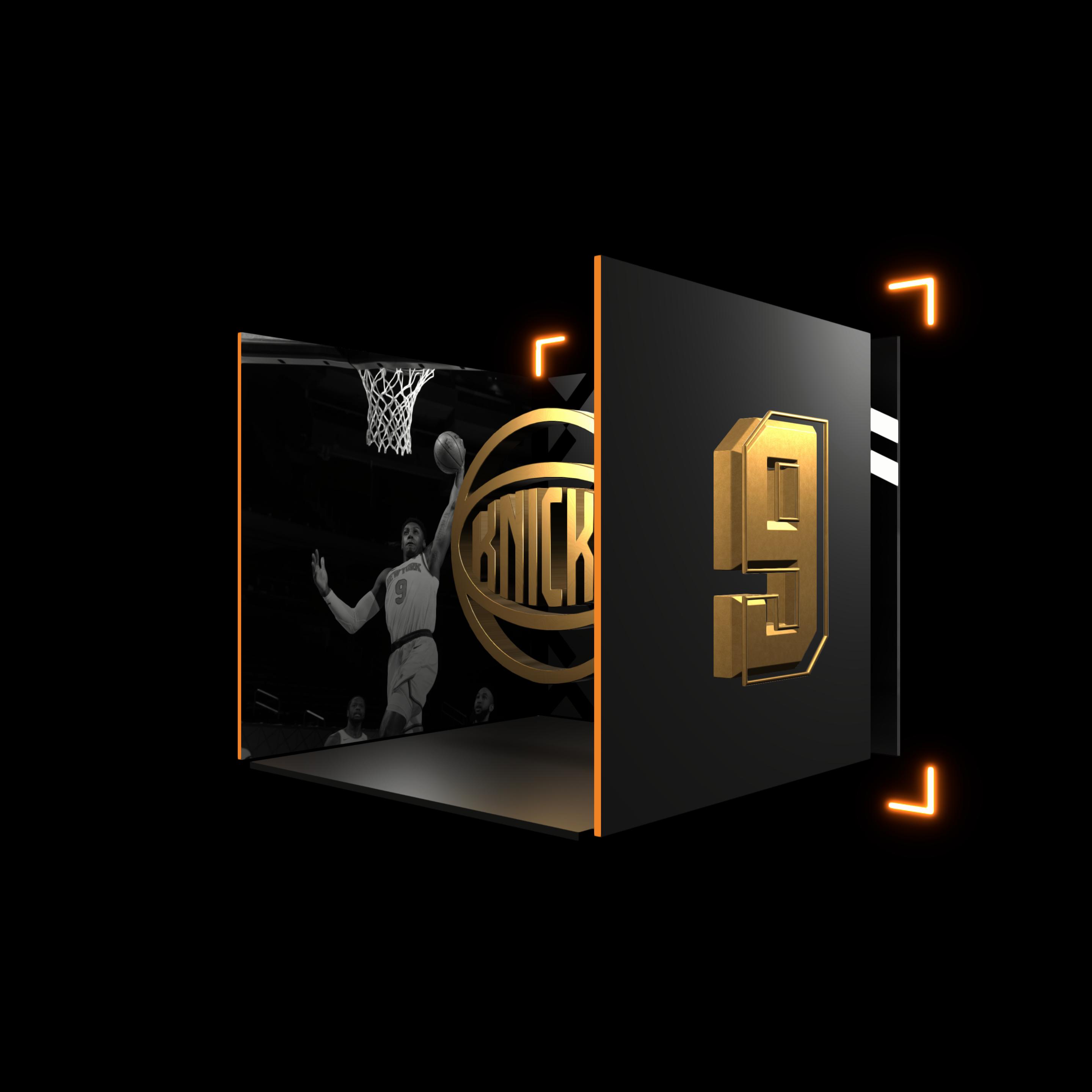 RJ Barrett