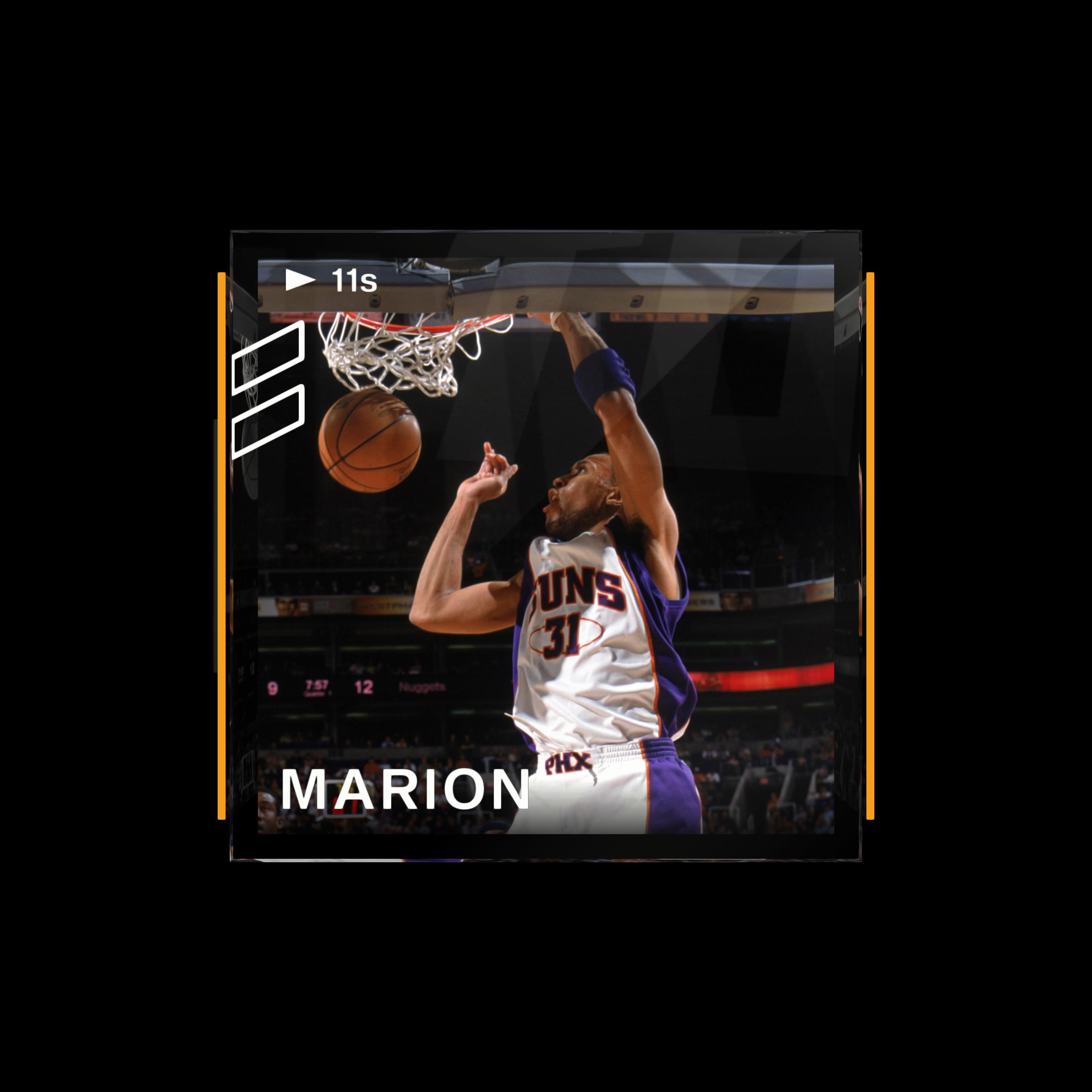 Shawn Marion