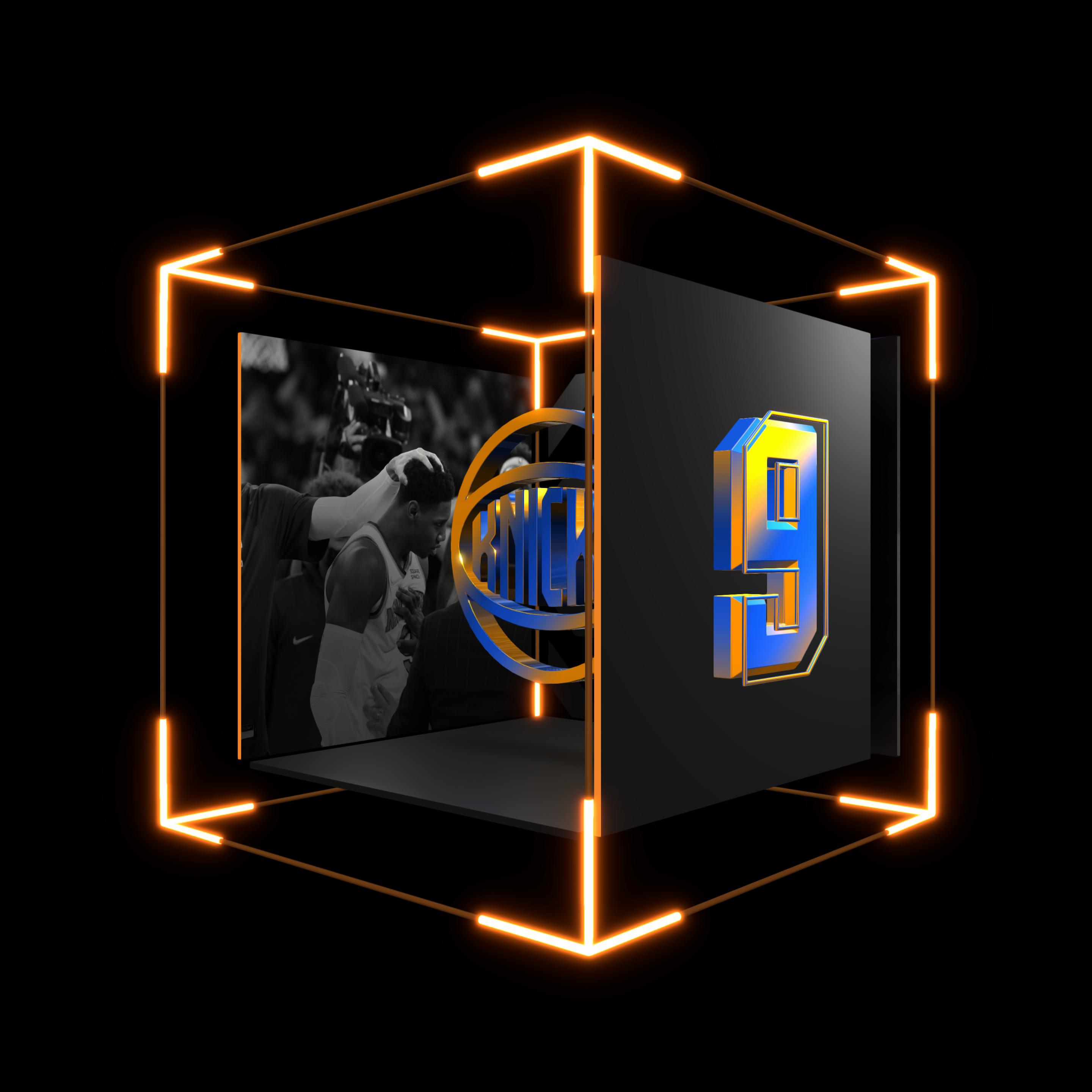 RJ Barrett