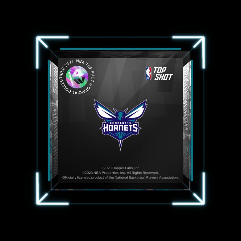 Charlotte Hornets
