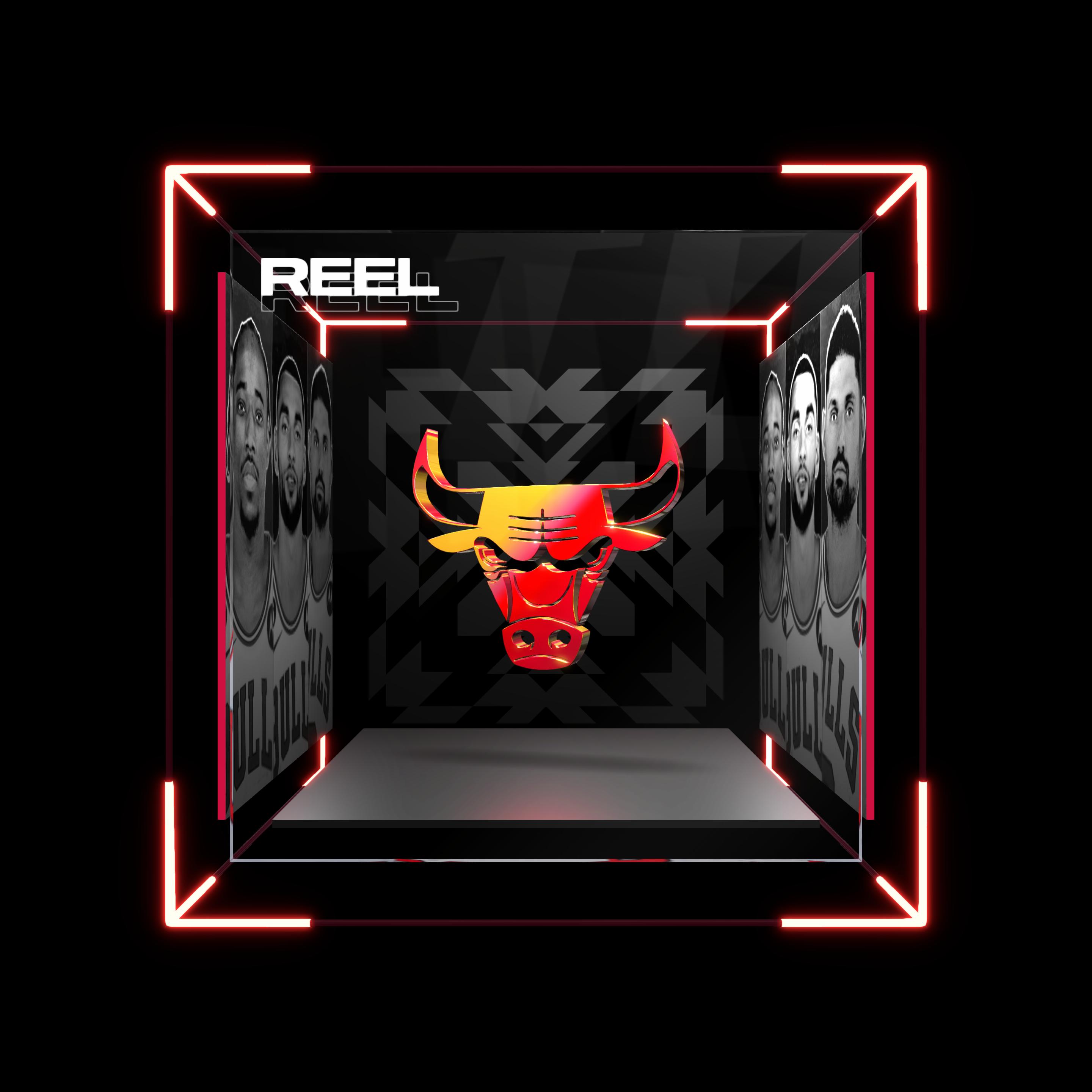 Chicago Bulls