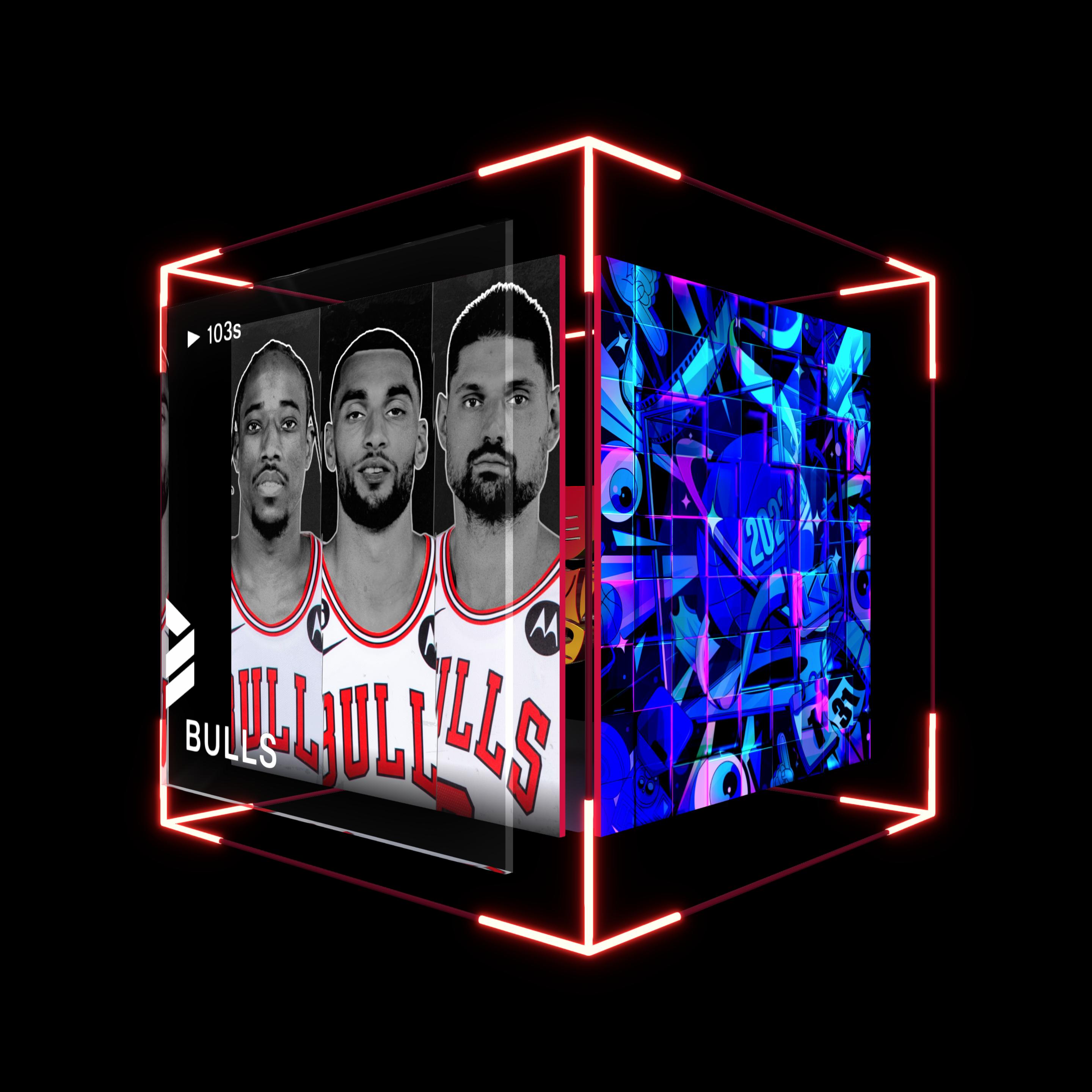 Chicago Bulls