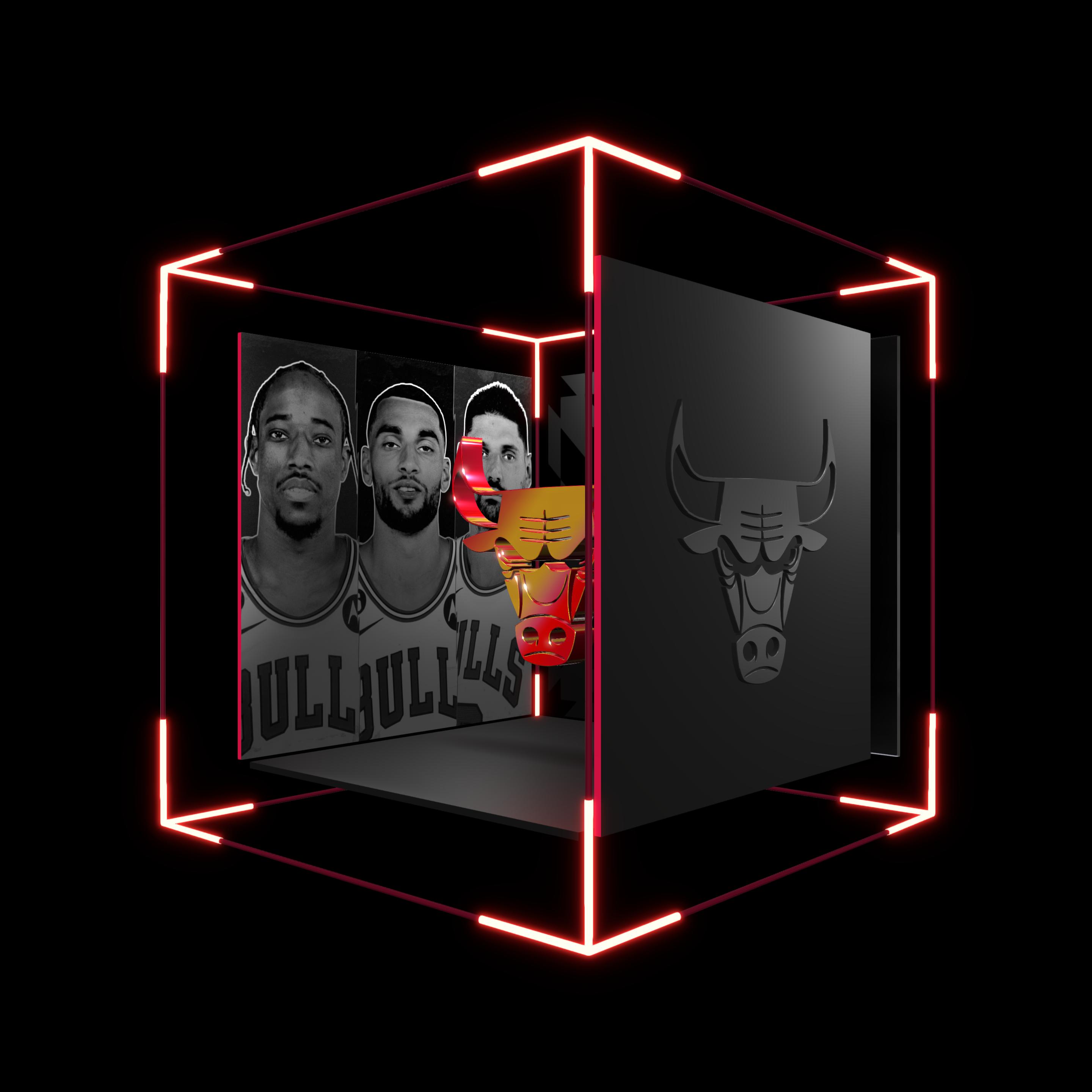 Chicago Bulls