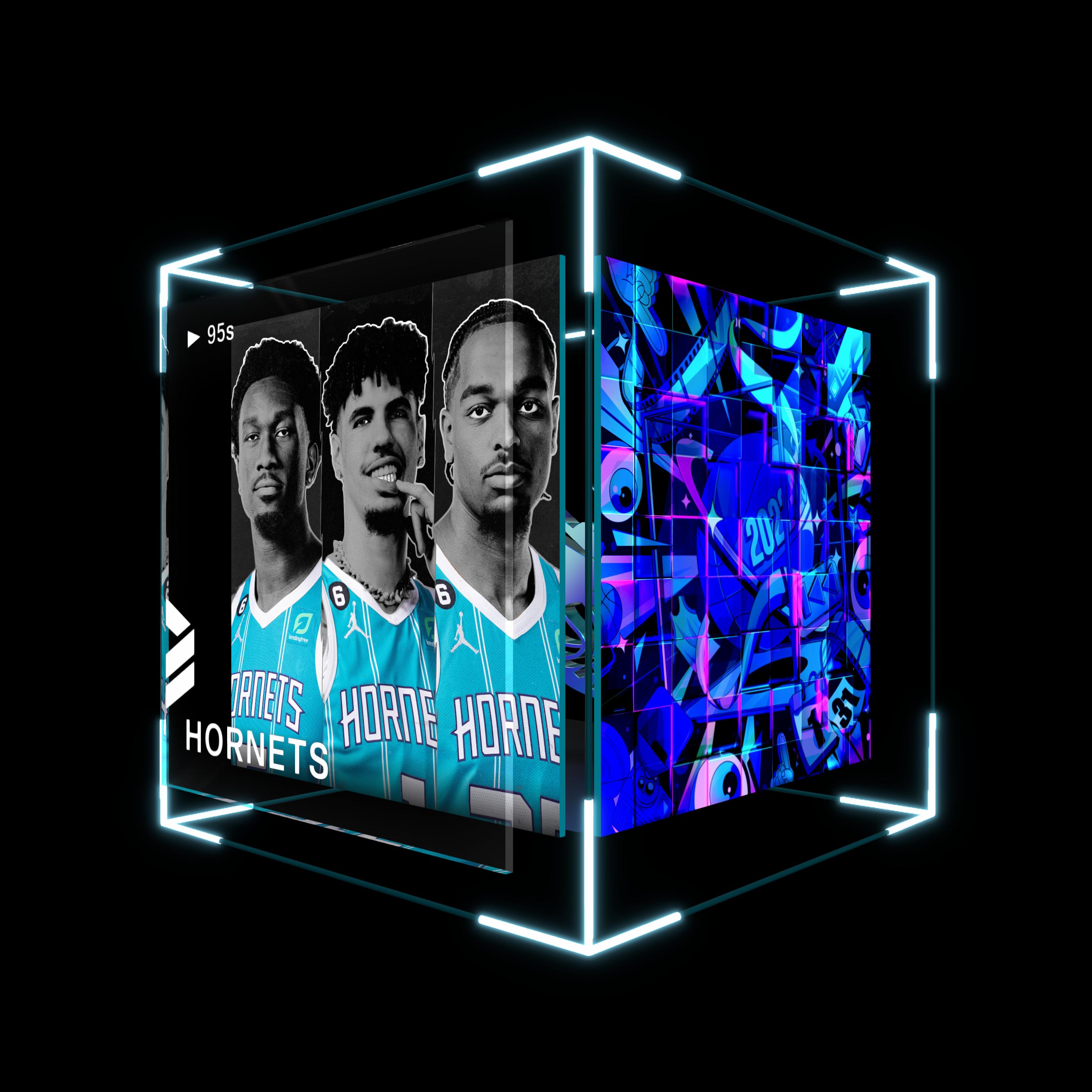 Charlotte Hornets