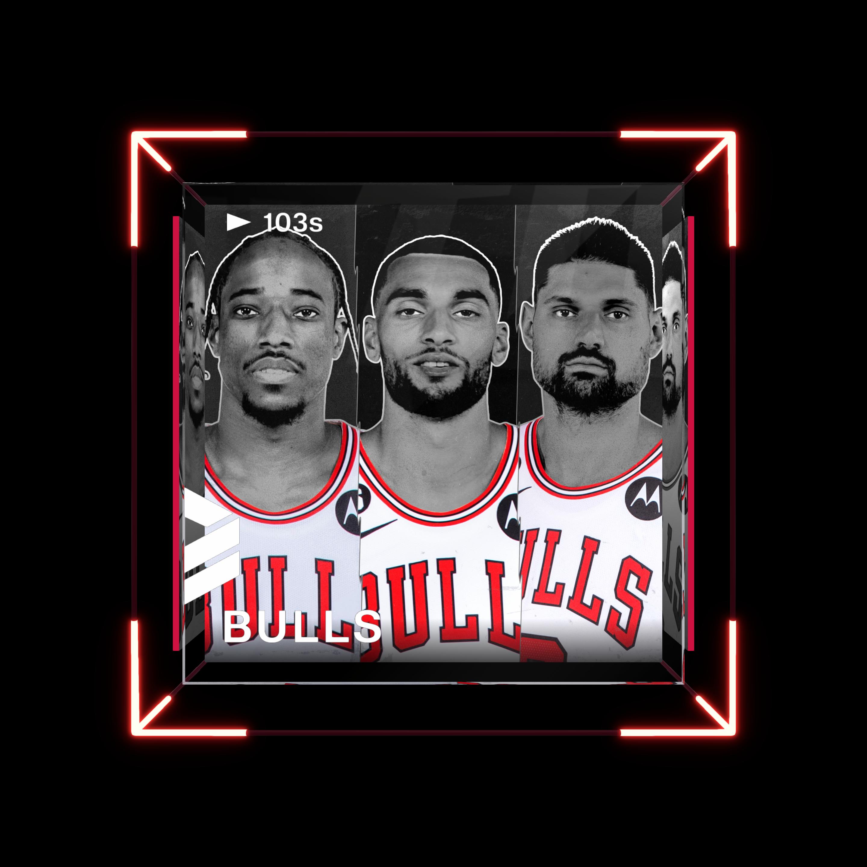 Chicago Bulls