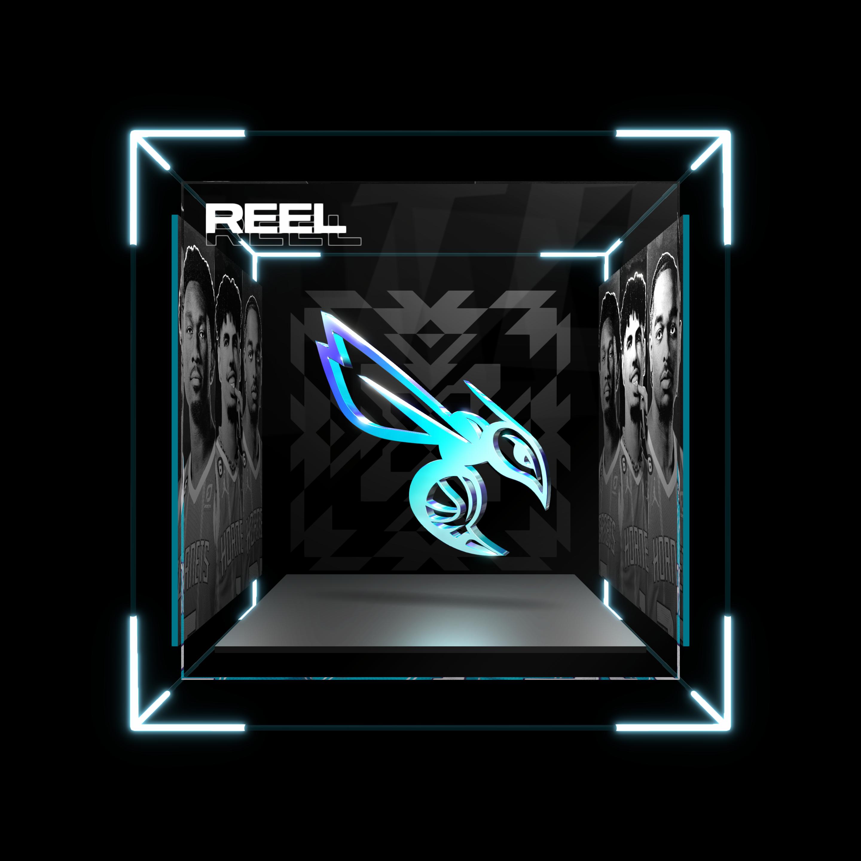 Charlotte Hornets