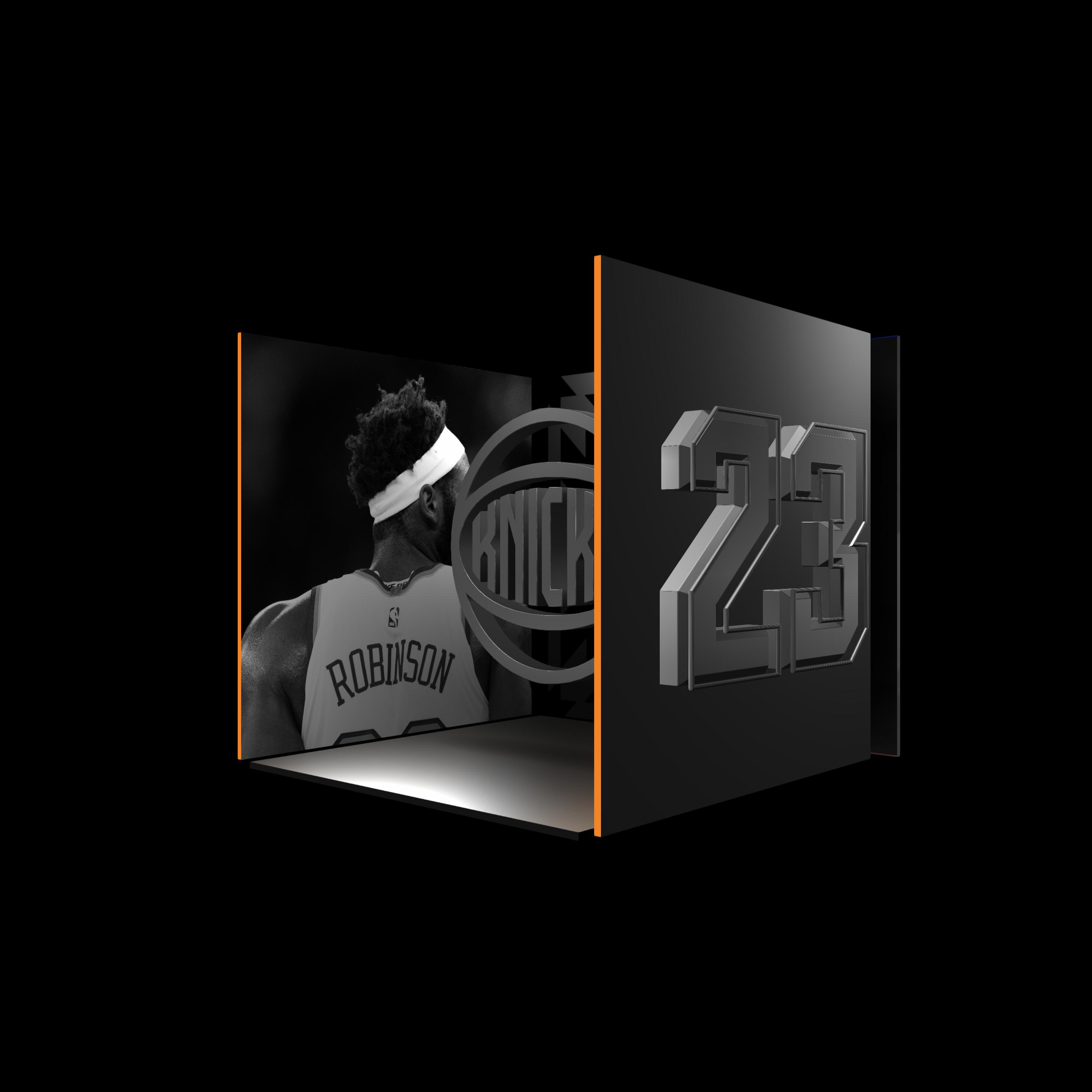 Mitchell Robinson