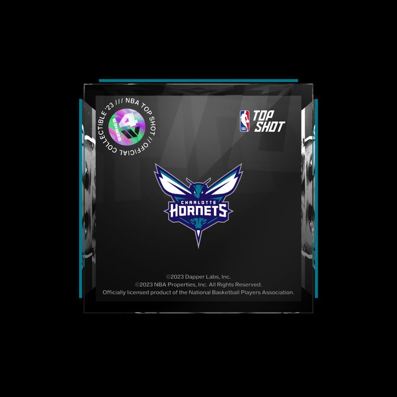 Charlotte Hornets