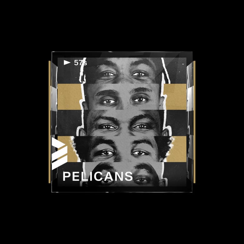 New Orleans Pelicans