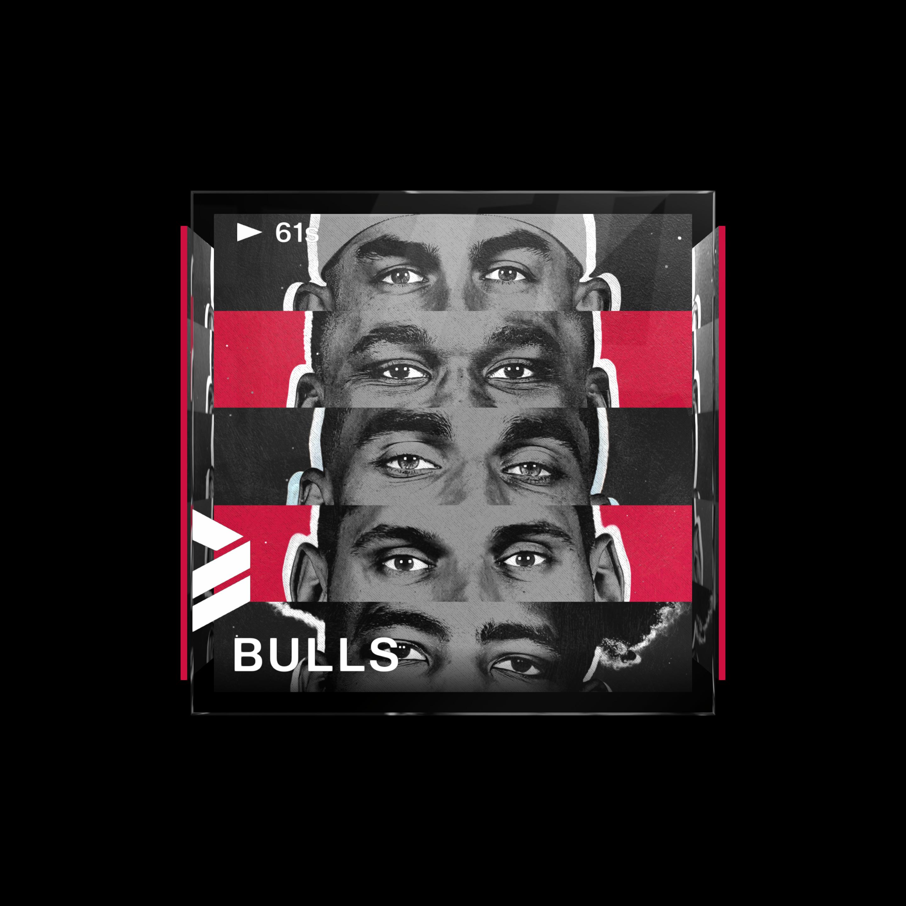 Chicago Bulls
